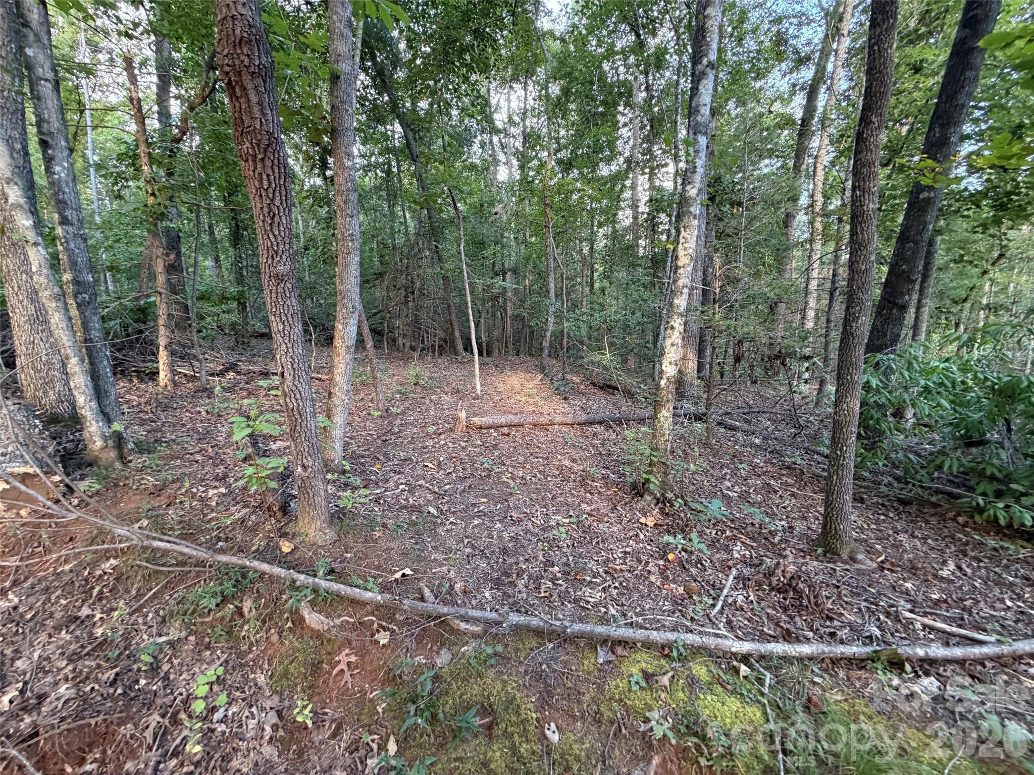 V/l Vein Mountain Road Property Photo 14