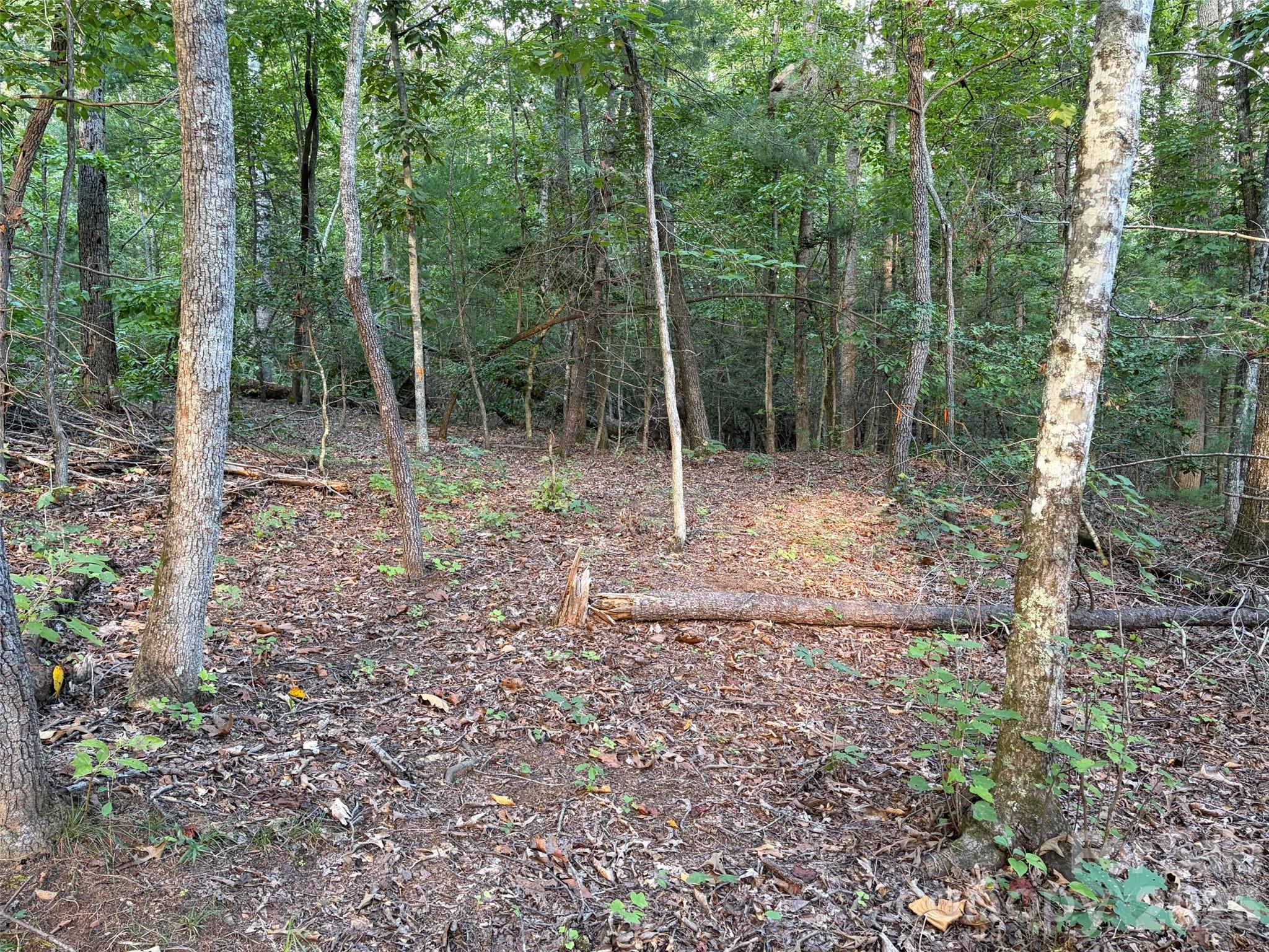 V/l Vein Mountain Road Property Photo 15