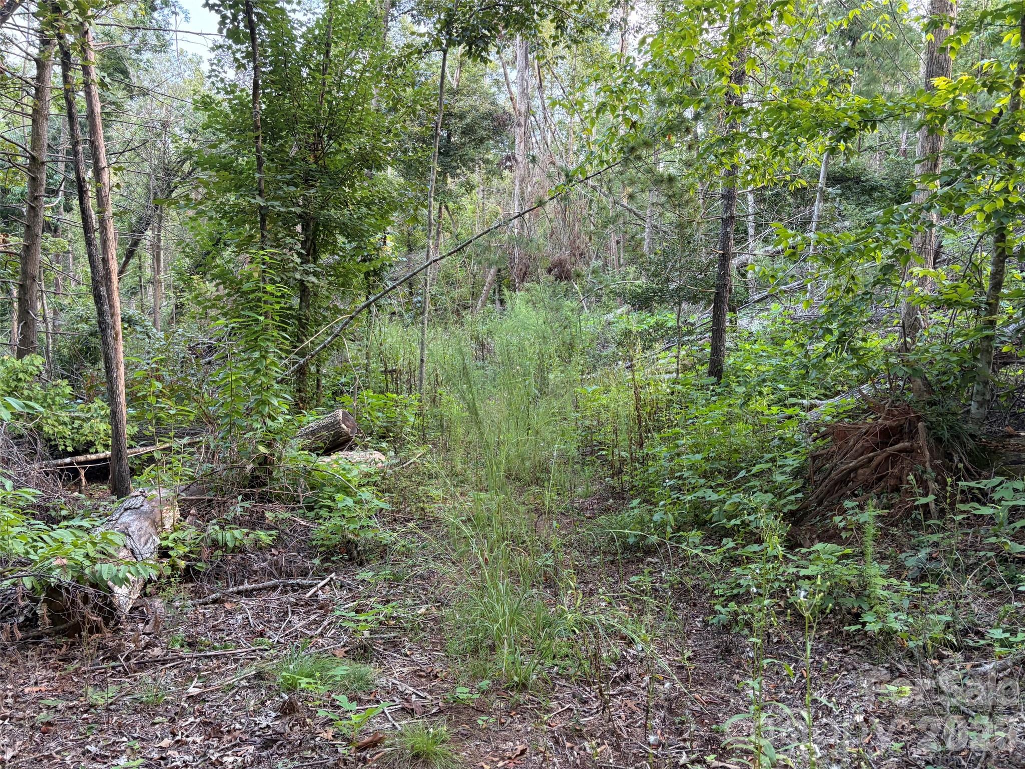 V/l Vein Mountain Road Property Photo 16