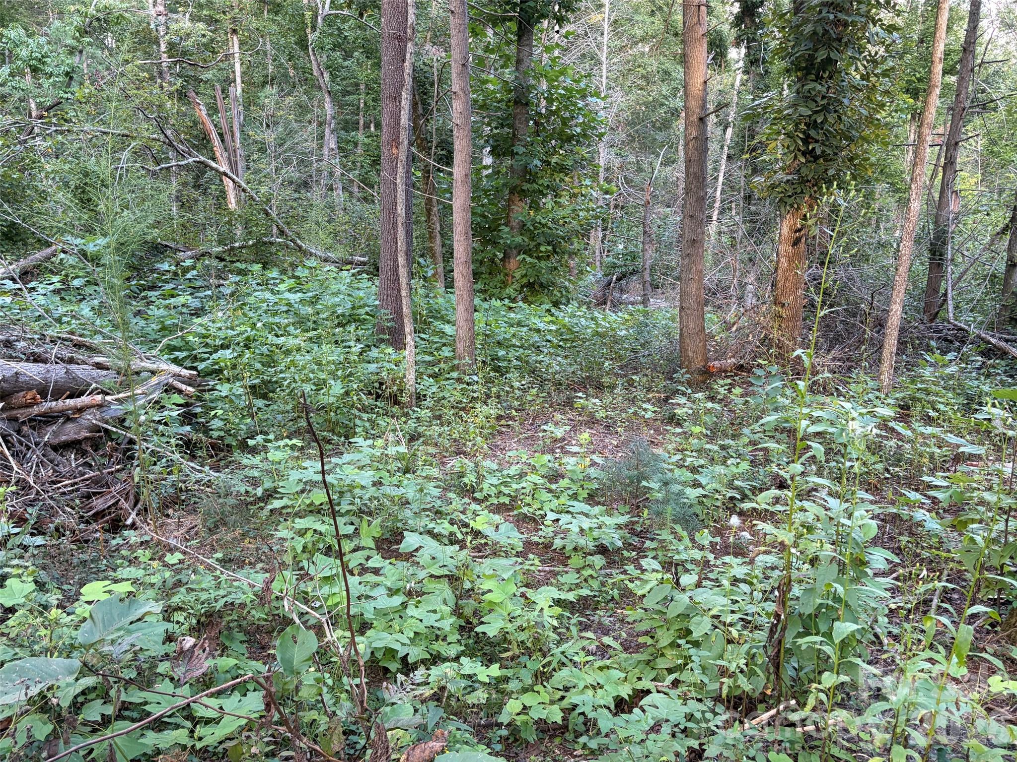 V/l Vein Mountain Road Property Photo 17