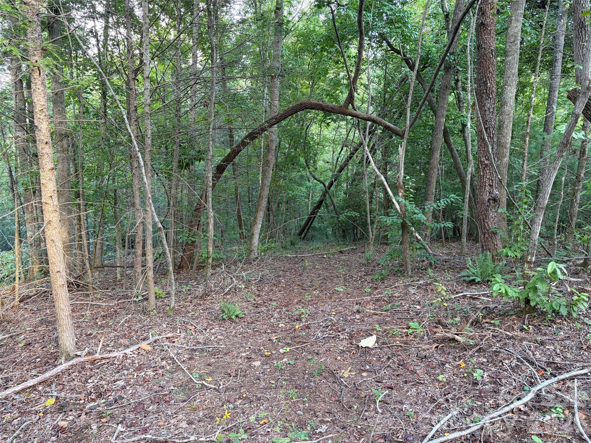 V/l Vein Mountain Road Property Photo 18