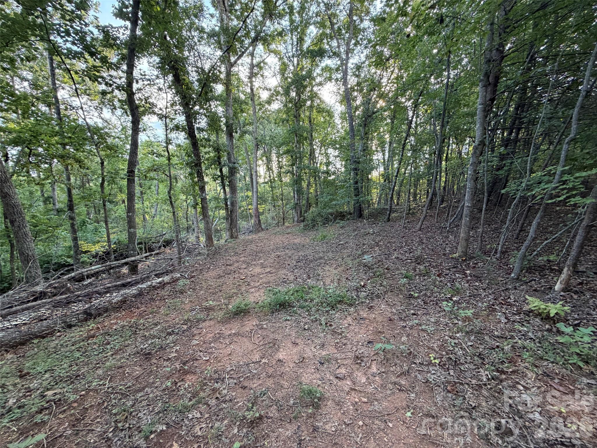 V/l Vein Mountain Road Property Photo 19