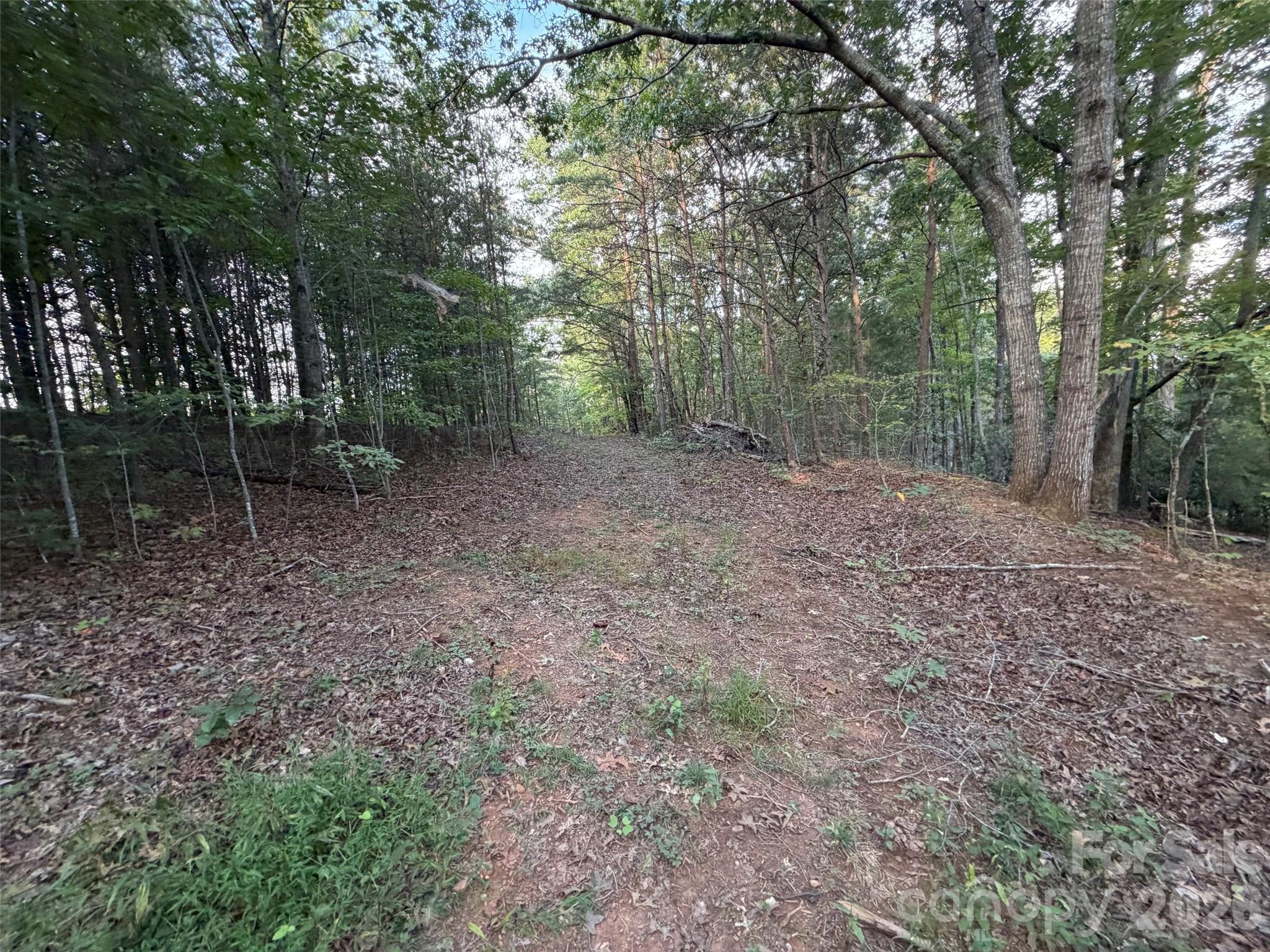 V/l Vein Mountain Road Property Photo 20