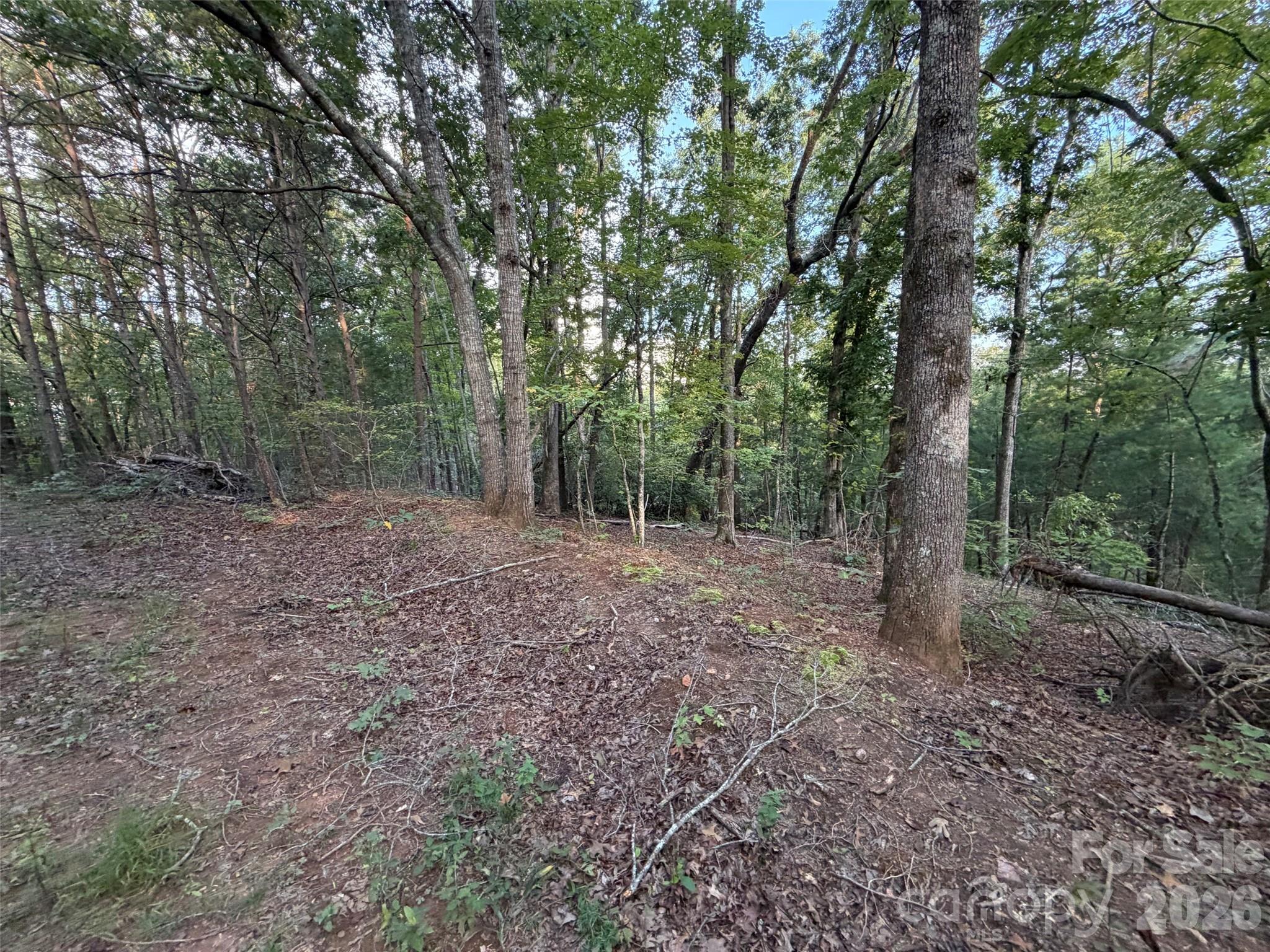 V/l Vein Mountain Road Property Photo 21