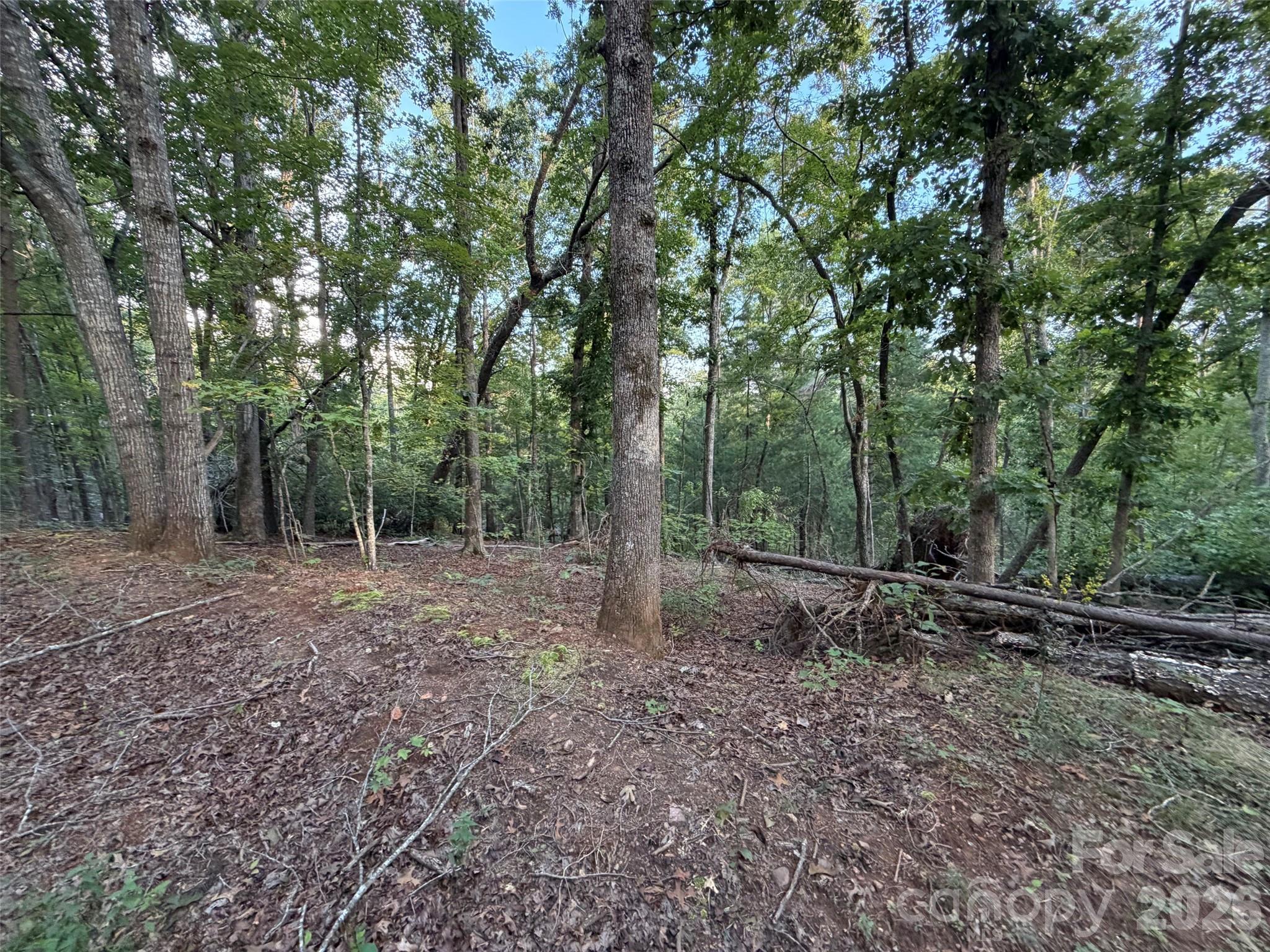V/l Vein Mountain Road Property Photo 22