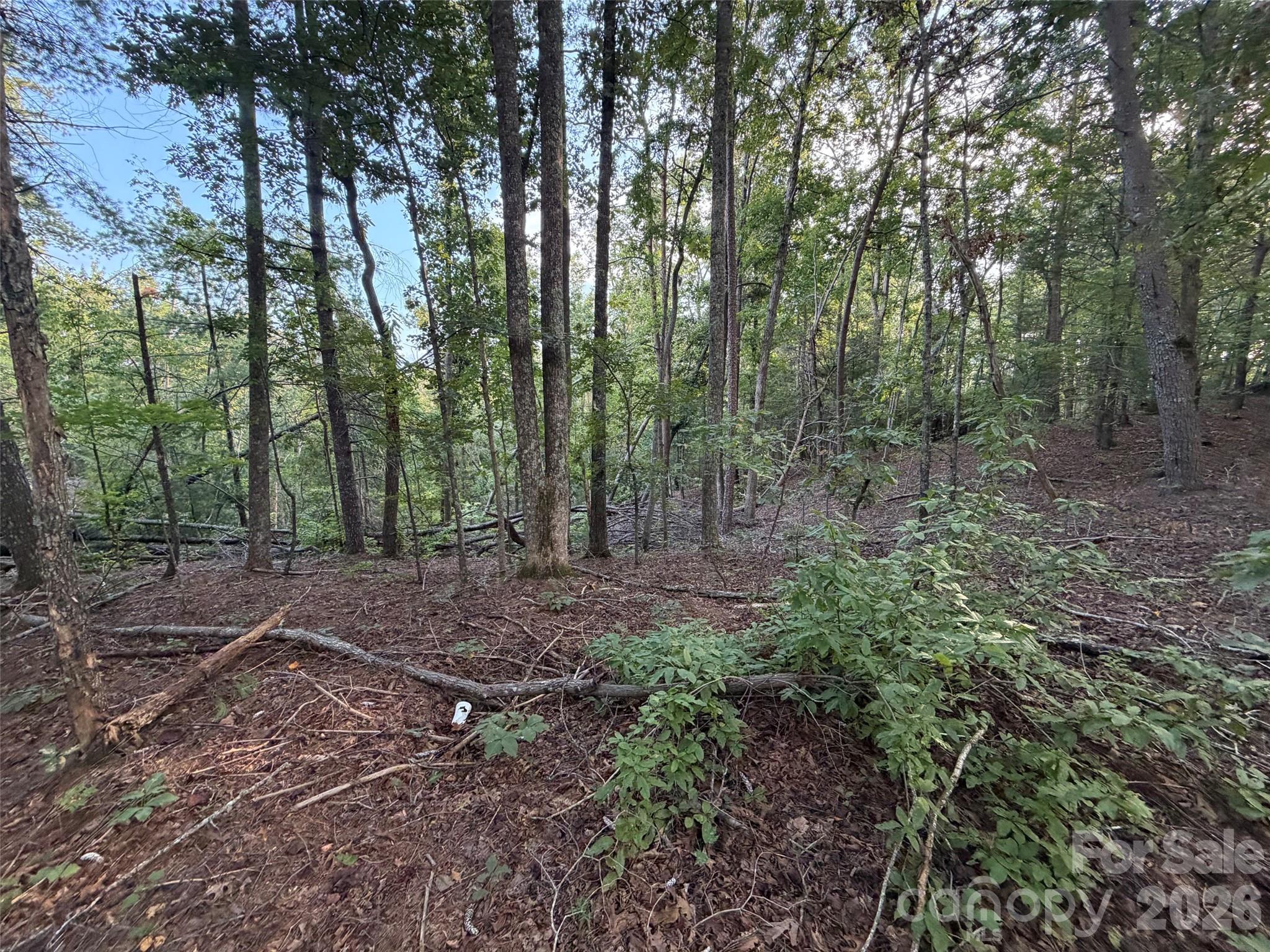 V/l Vein Mountain Road Property Photo 23