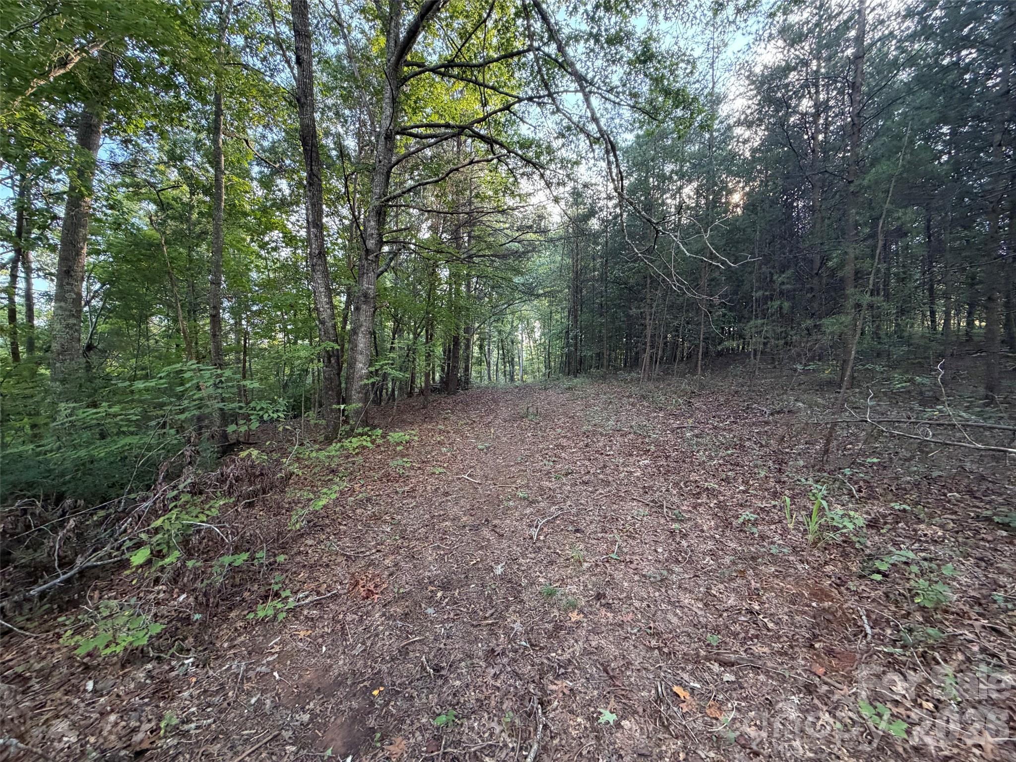 V/l Vein Mountain Road Property Photo 24