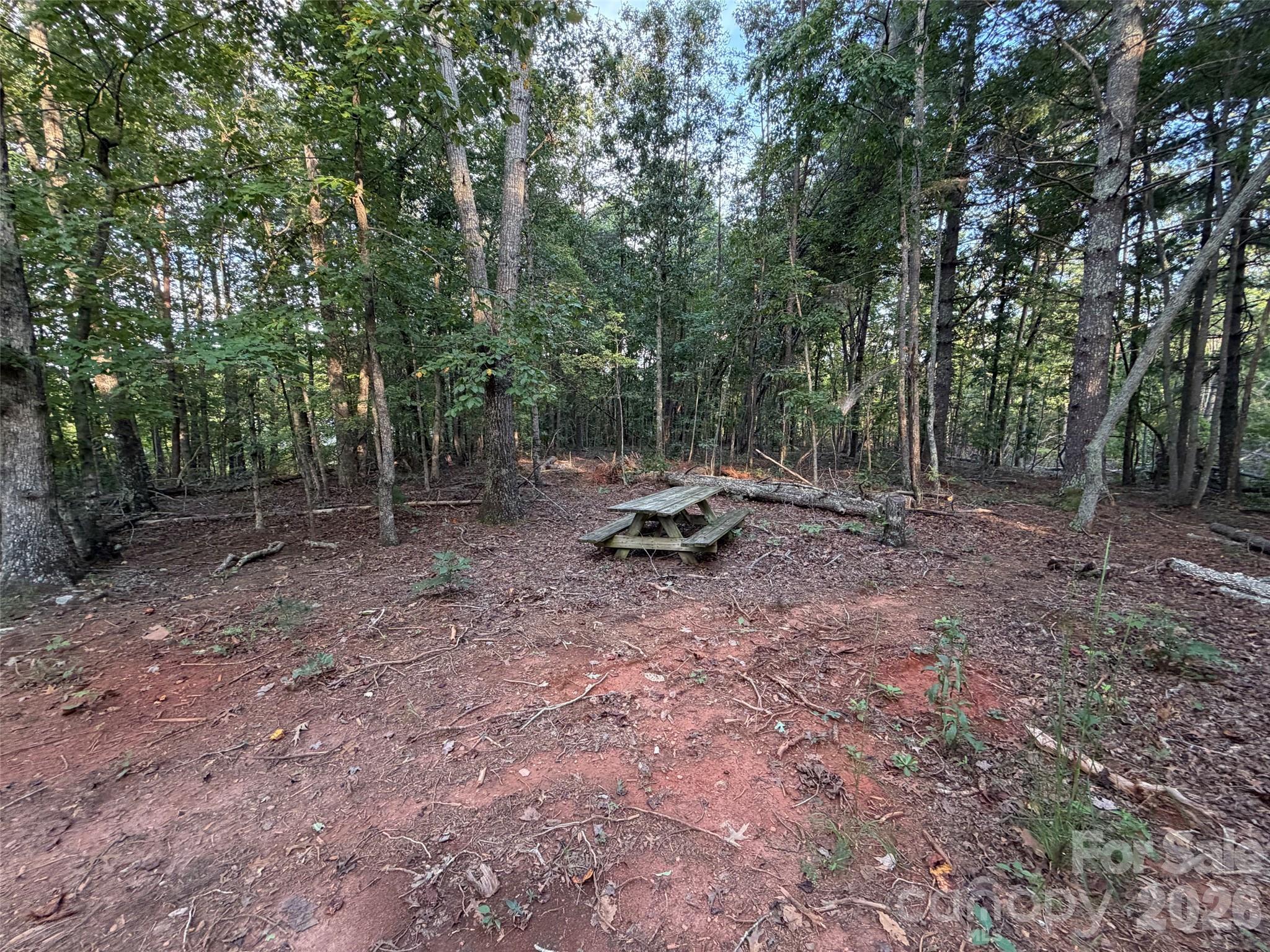 V/l Vein Mountain Road Property Photo 25