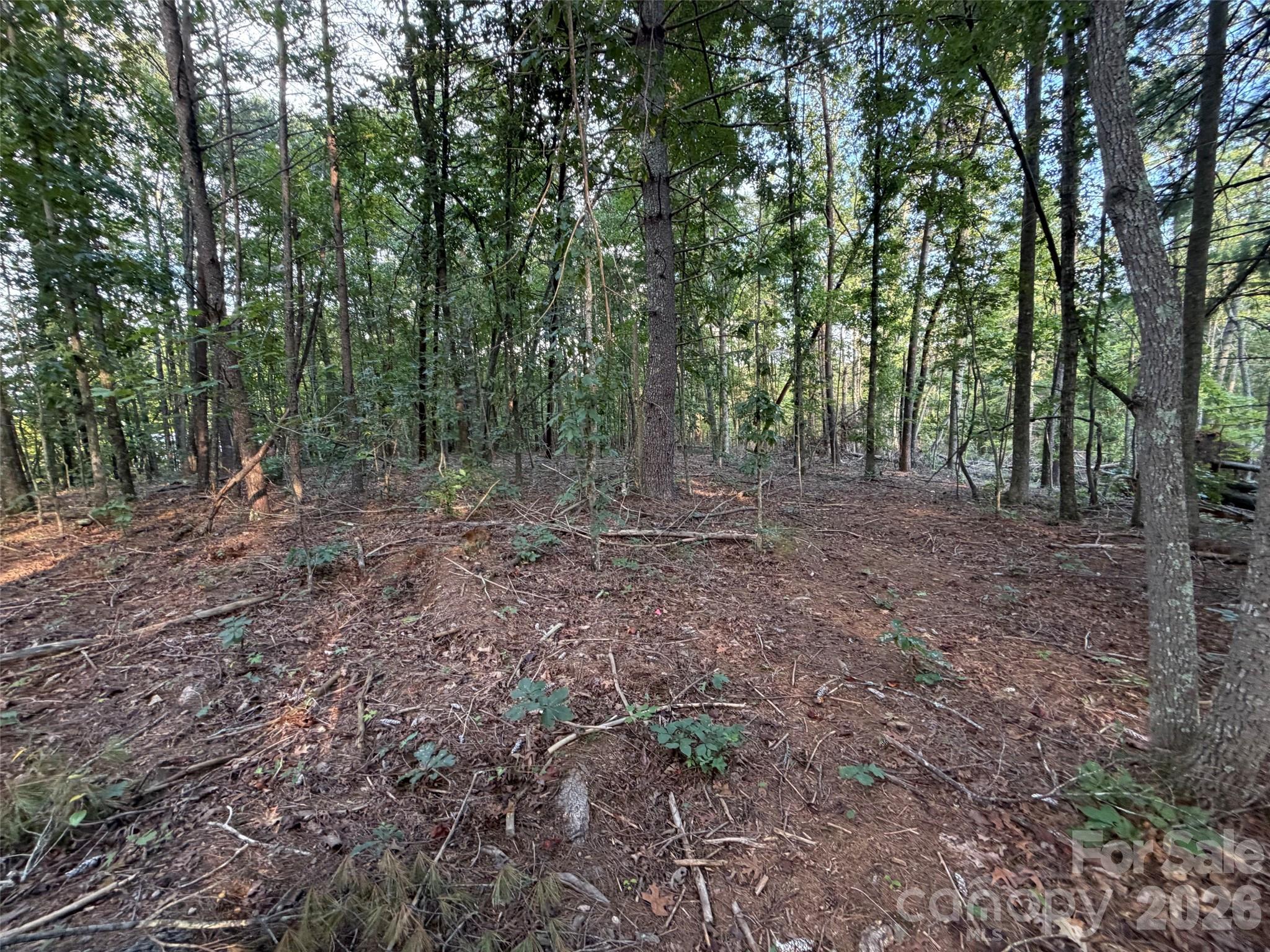 V/l Vein Mountain Road Property Photo 26