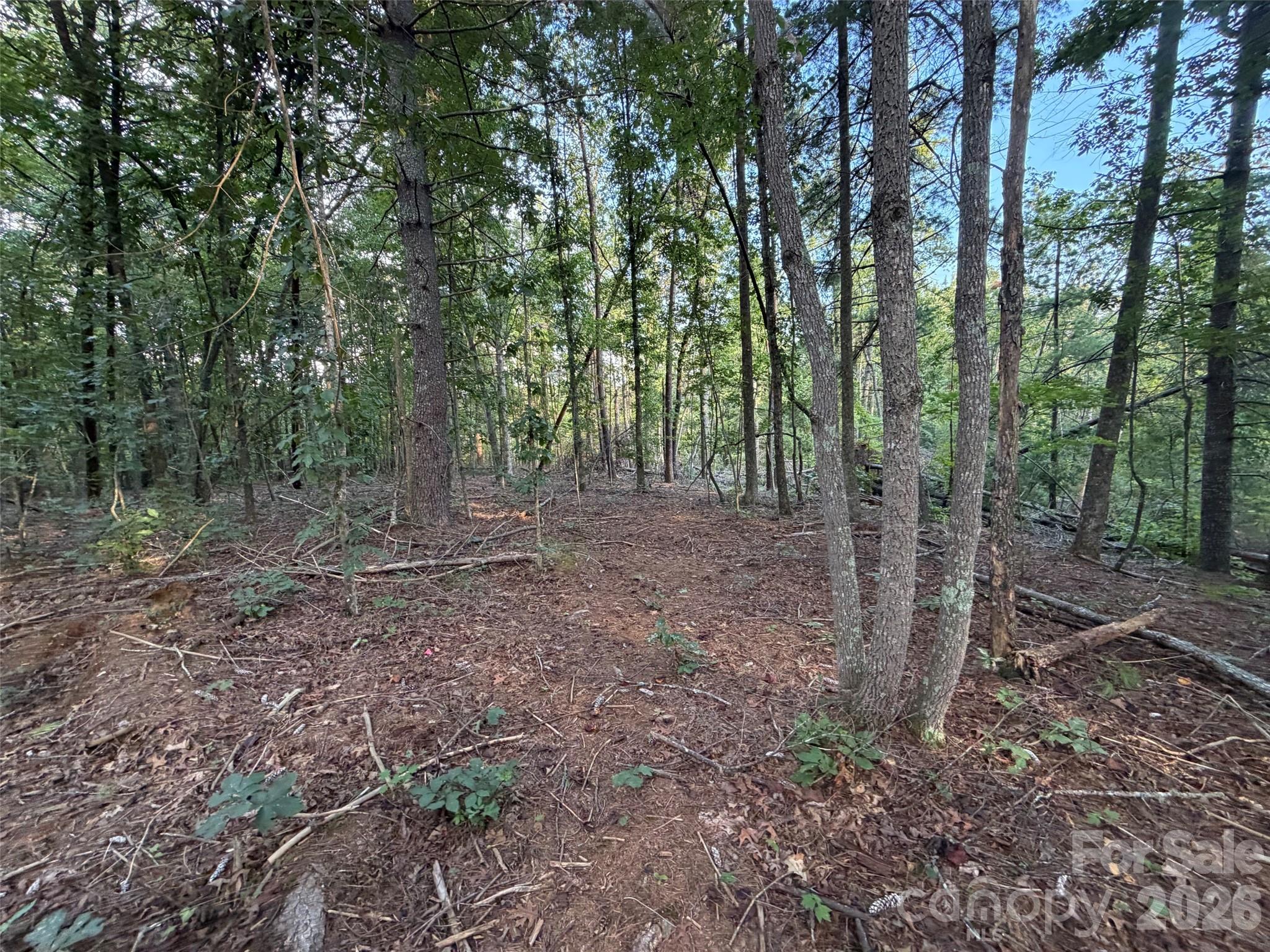 V/l Vein Mountain Road Property Photo 27