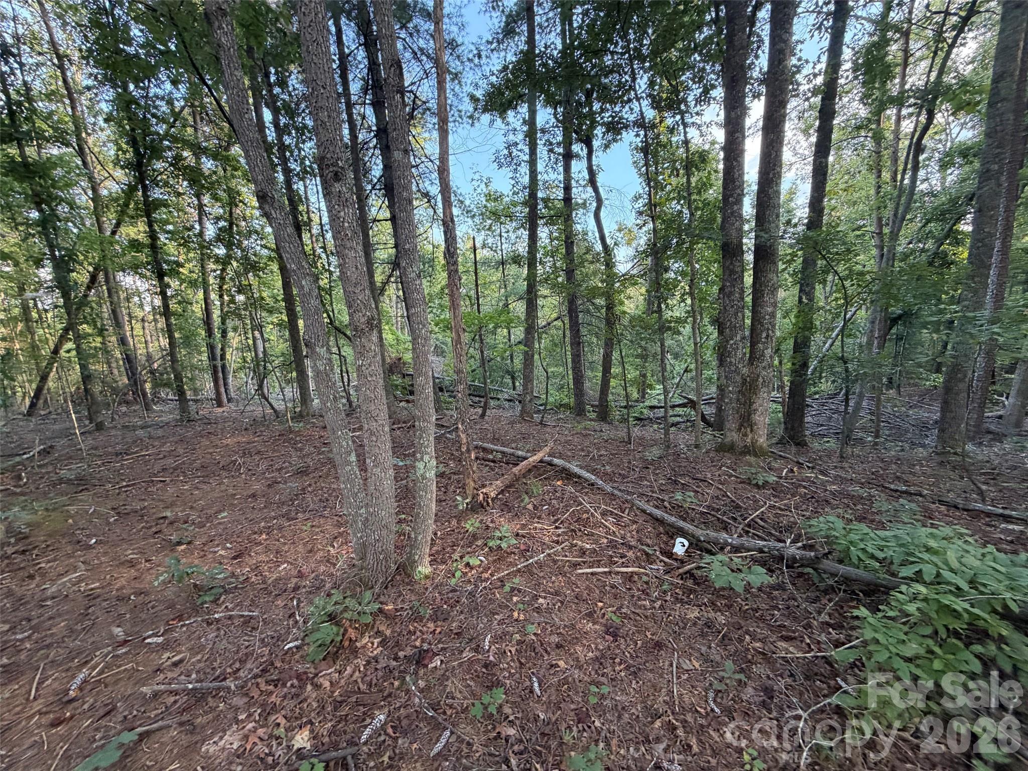V/l Vein Mountain Road Property Photo 28