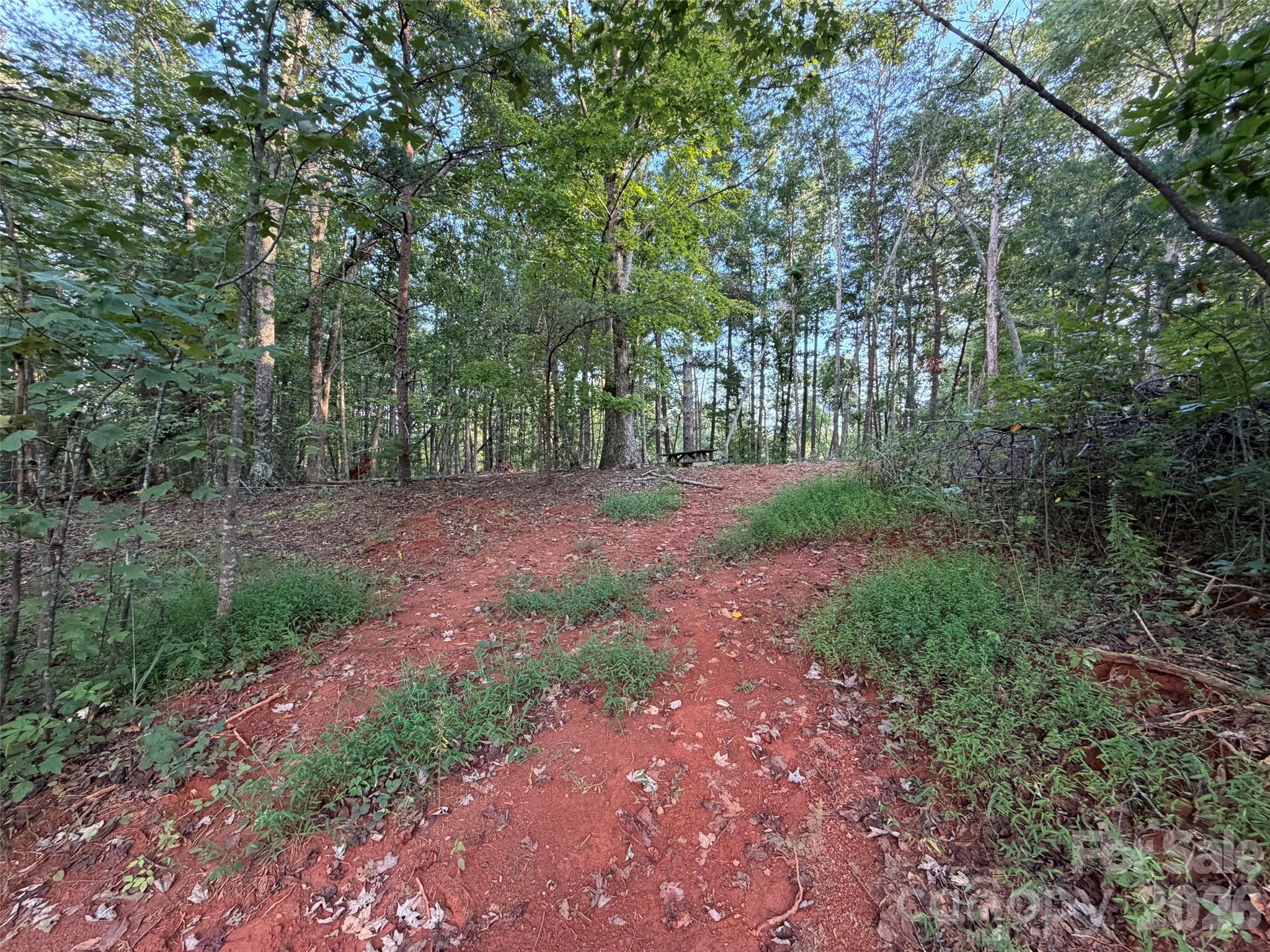 V/l Vein Mountain Road Property Photo 29