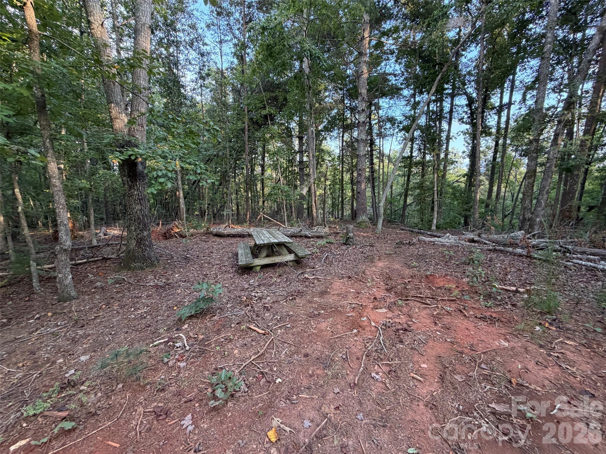 V/l Vein Mountain Road Property Photo 30