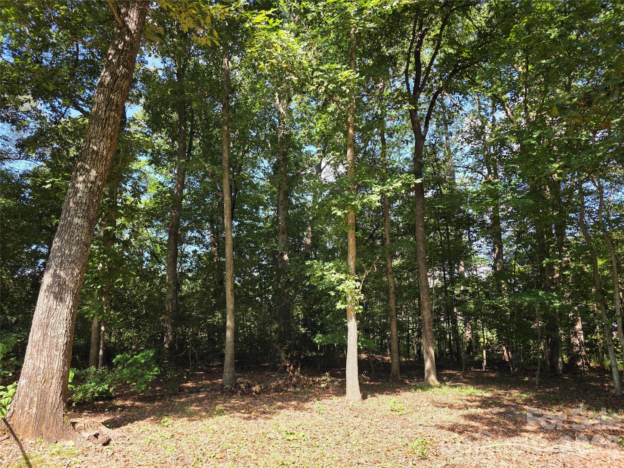 1190 Landsdowne Drive Property Photo 16