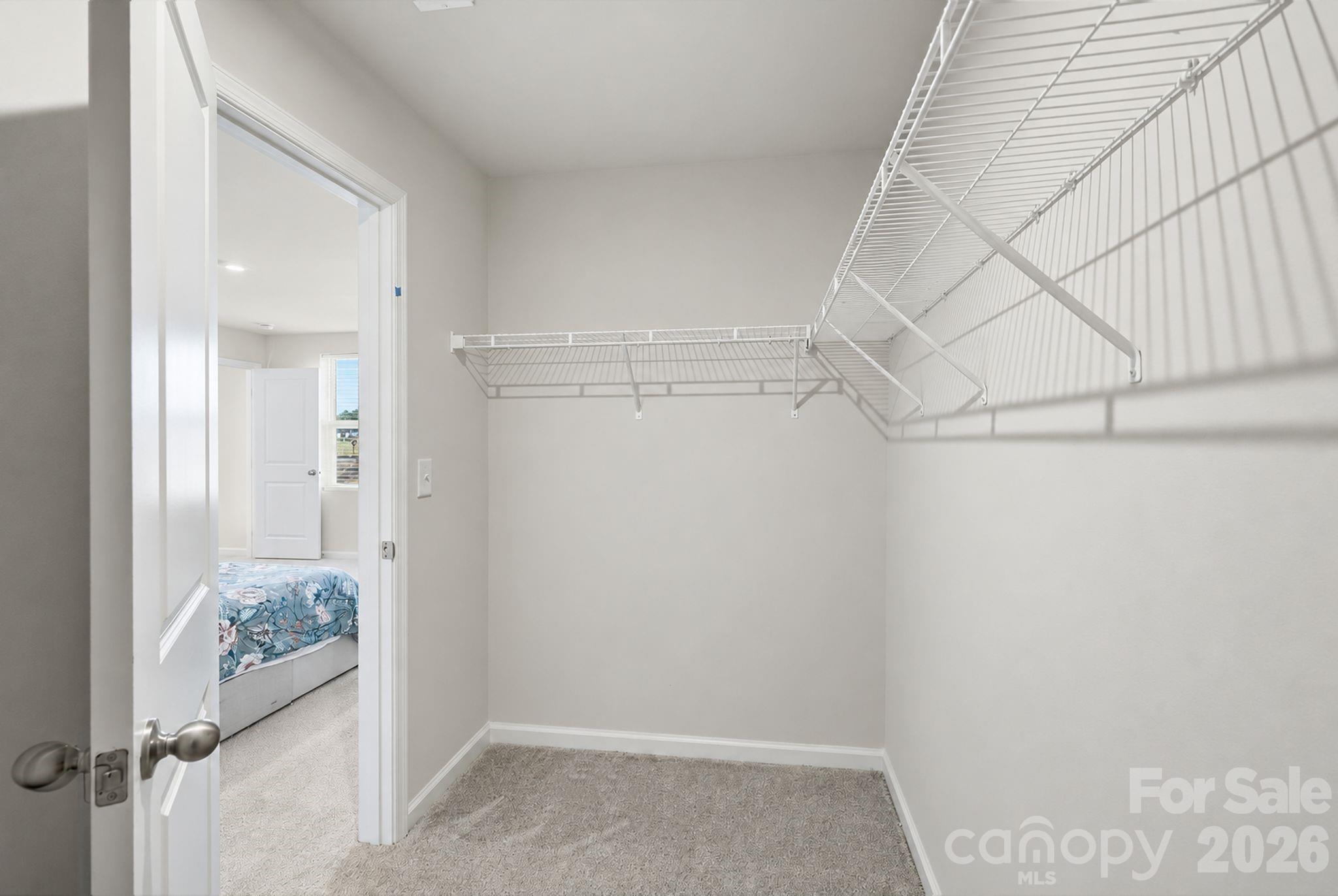 189 Basildon Street Property Photo 14