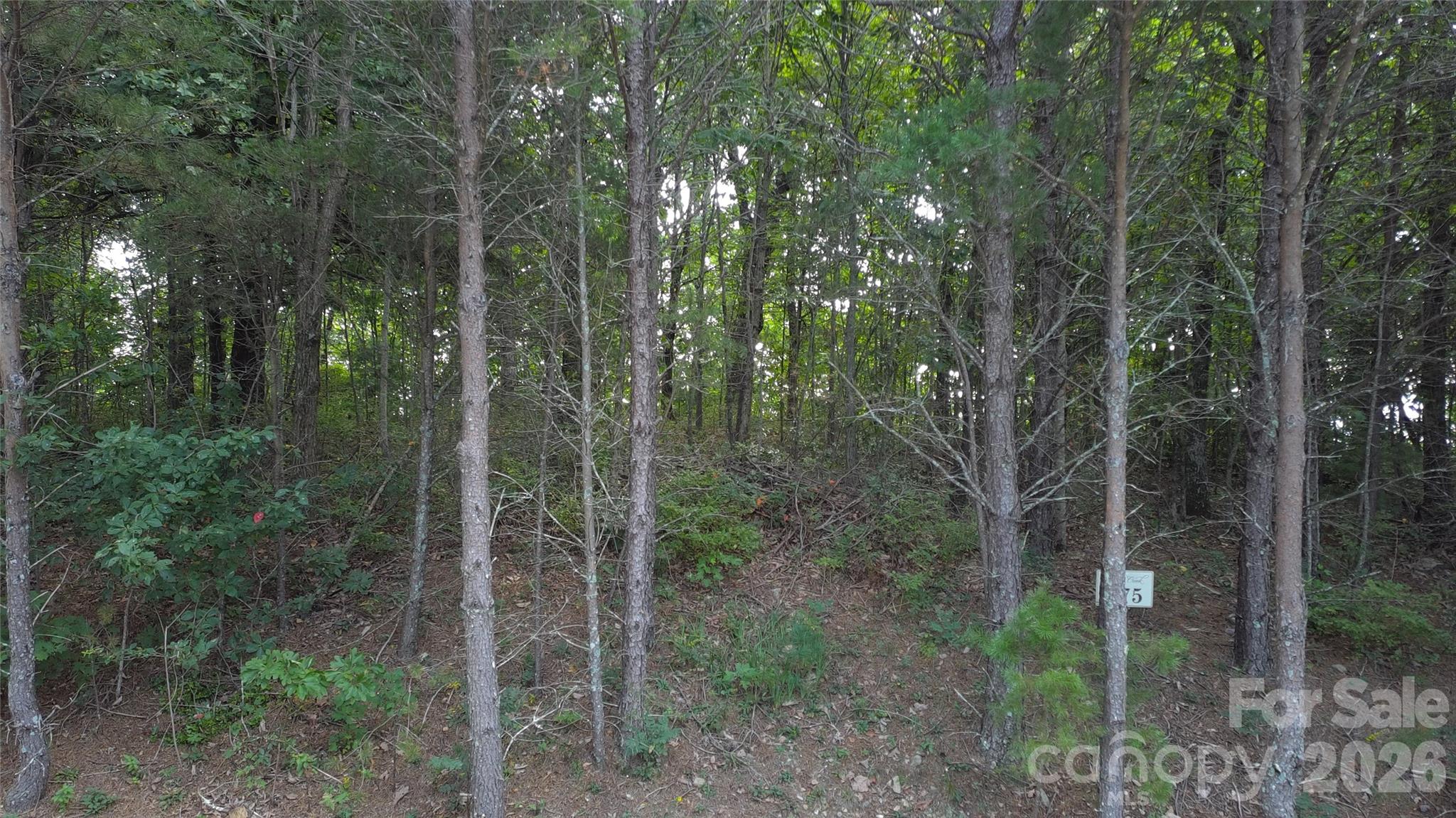 275 Kincaid Place 275 Property Photo 26