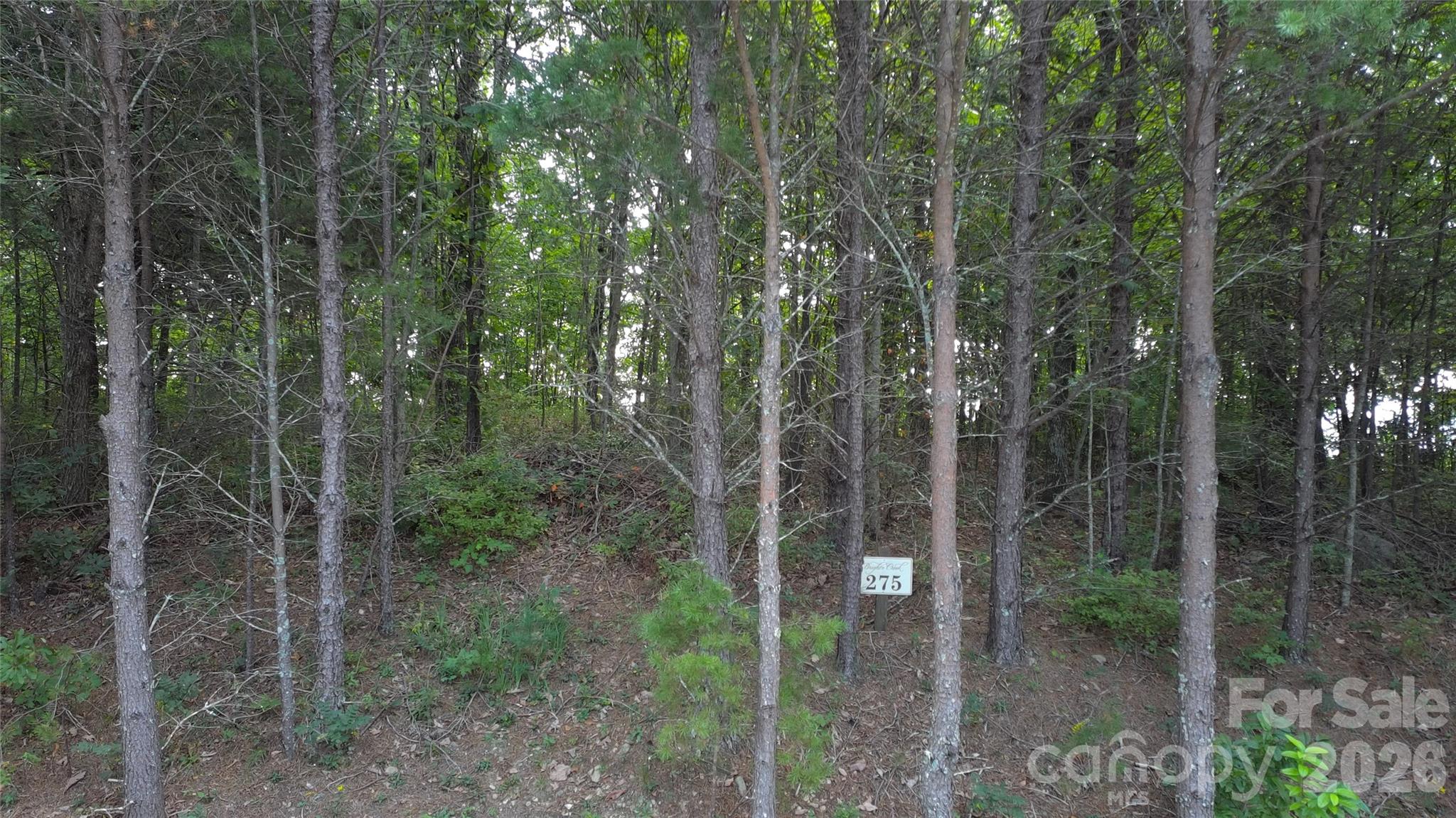 275 Kincaid Place 275 Property Photo 27