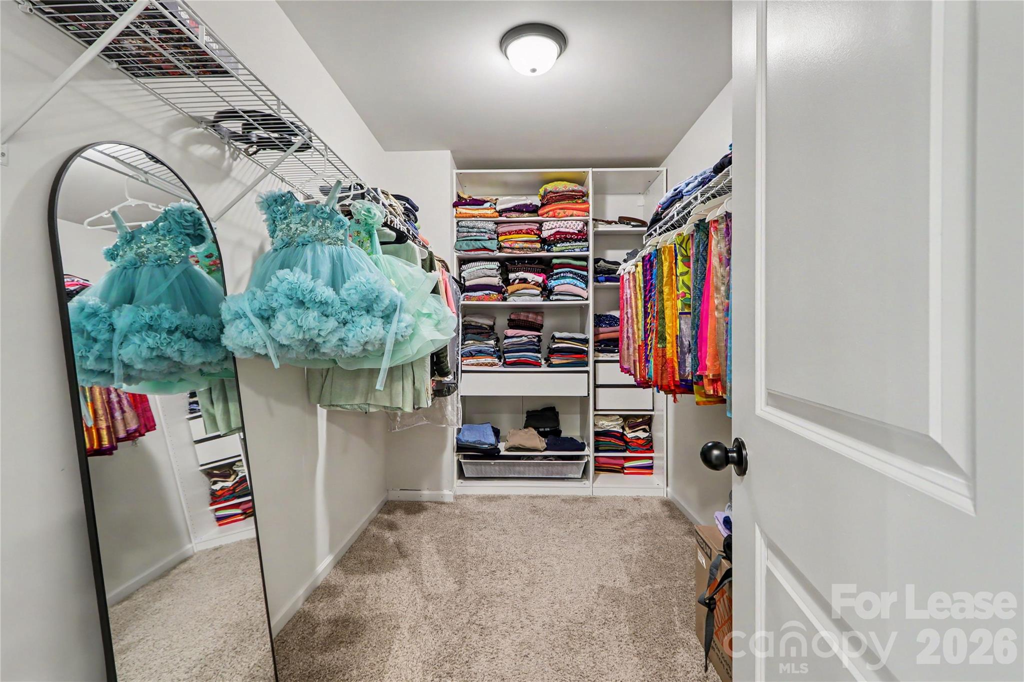 4426898 Property Photo 21