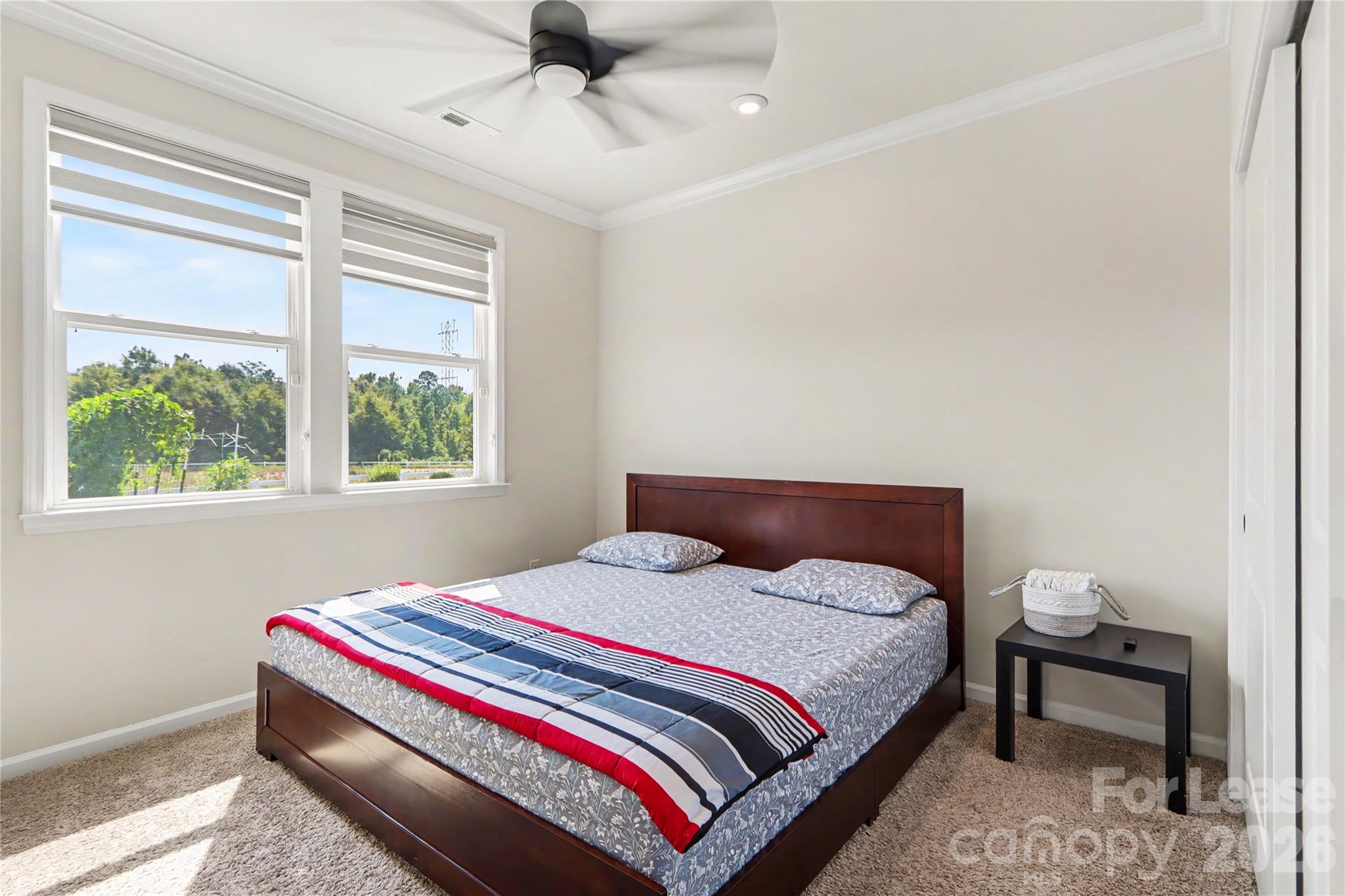 4426898 Property Photo 28