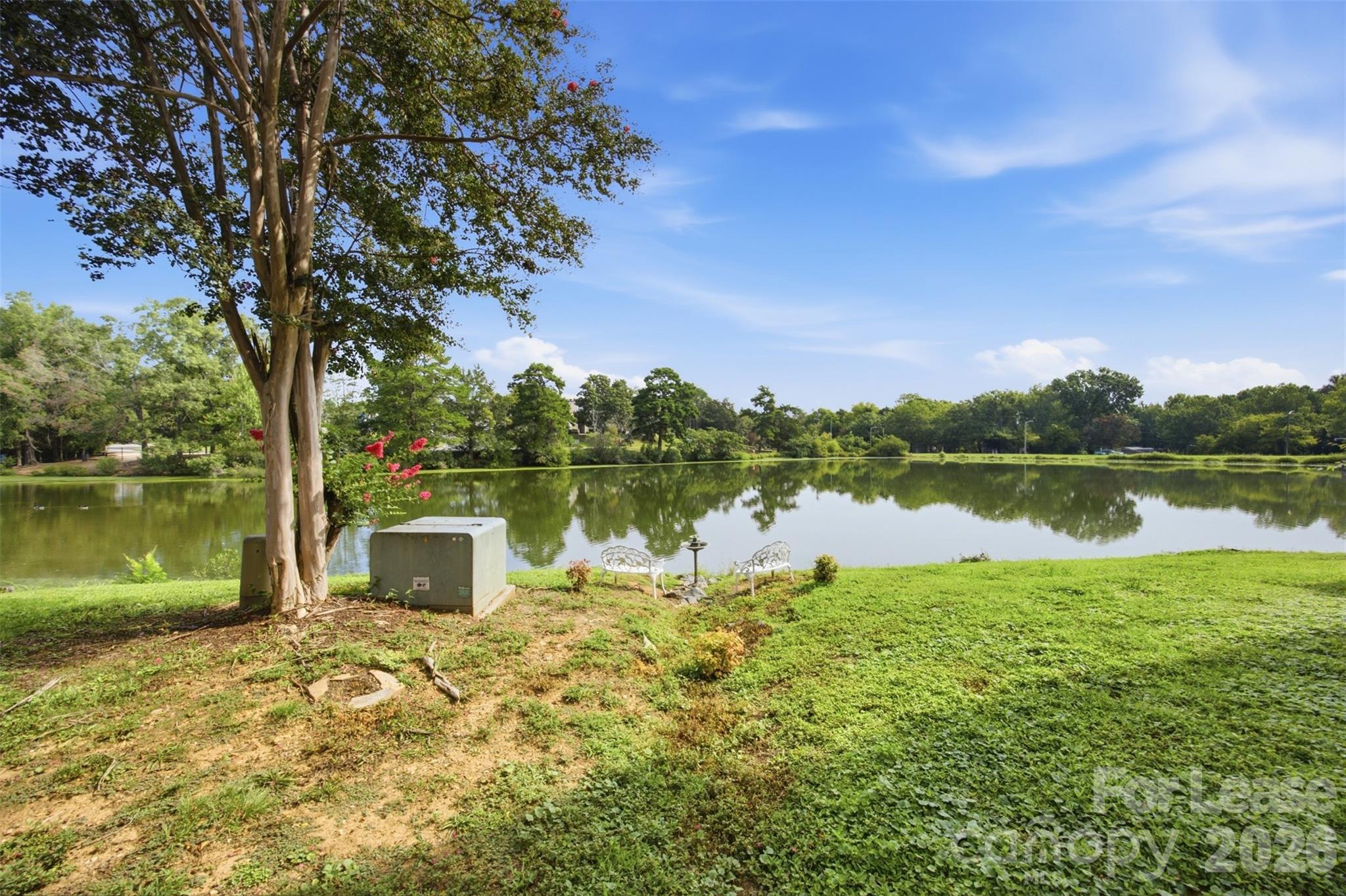 8157 Cedar Glen Drive Property Photo 8