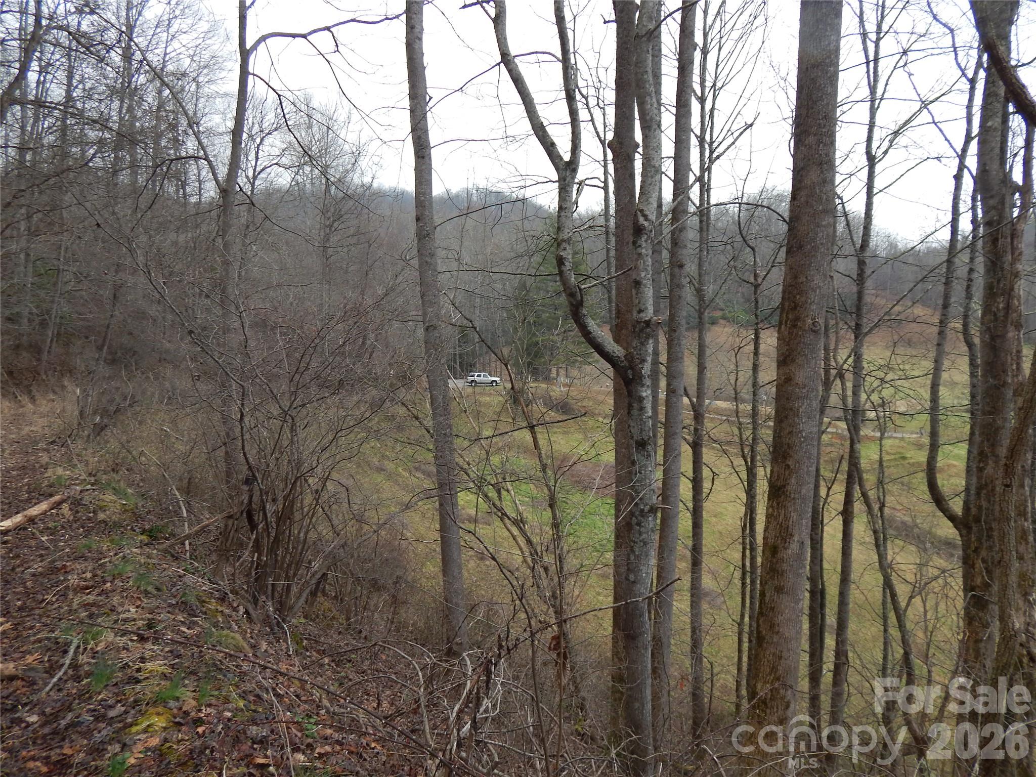 00 Henry Road Property Photo 12