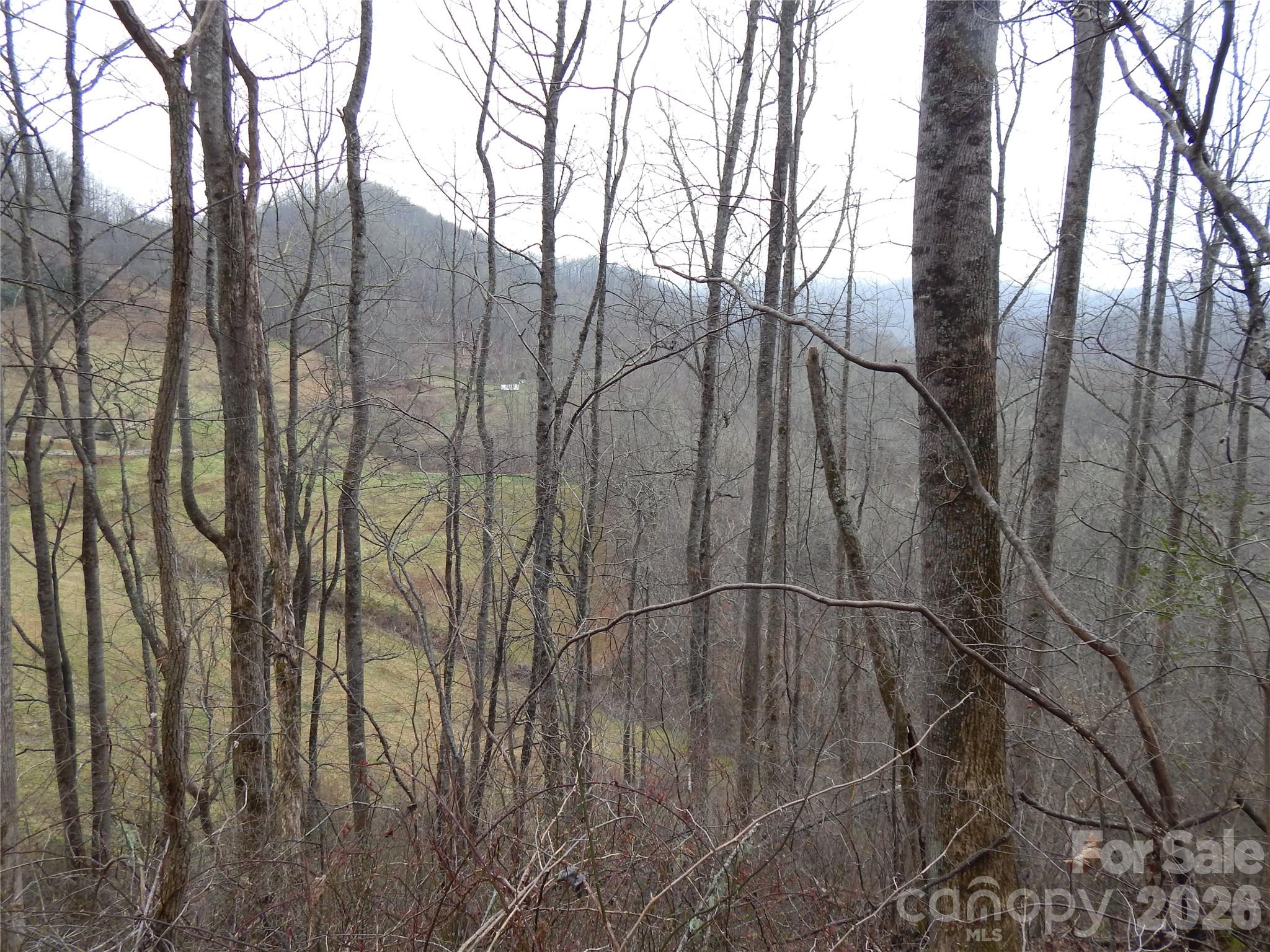 00 Henry Road Property Photo 18