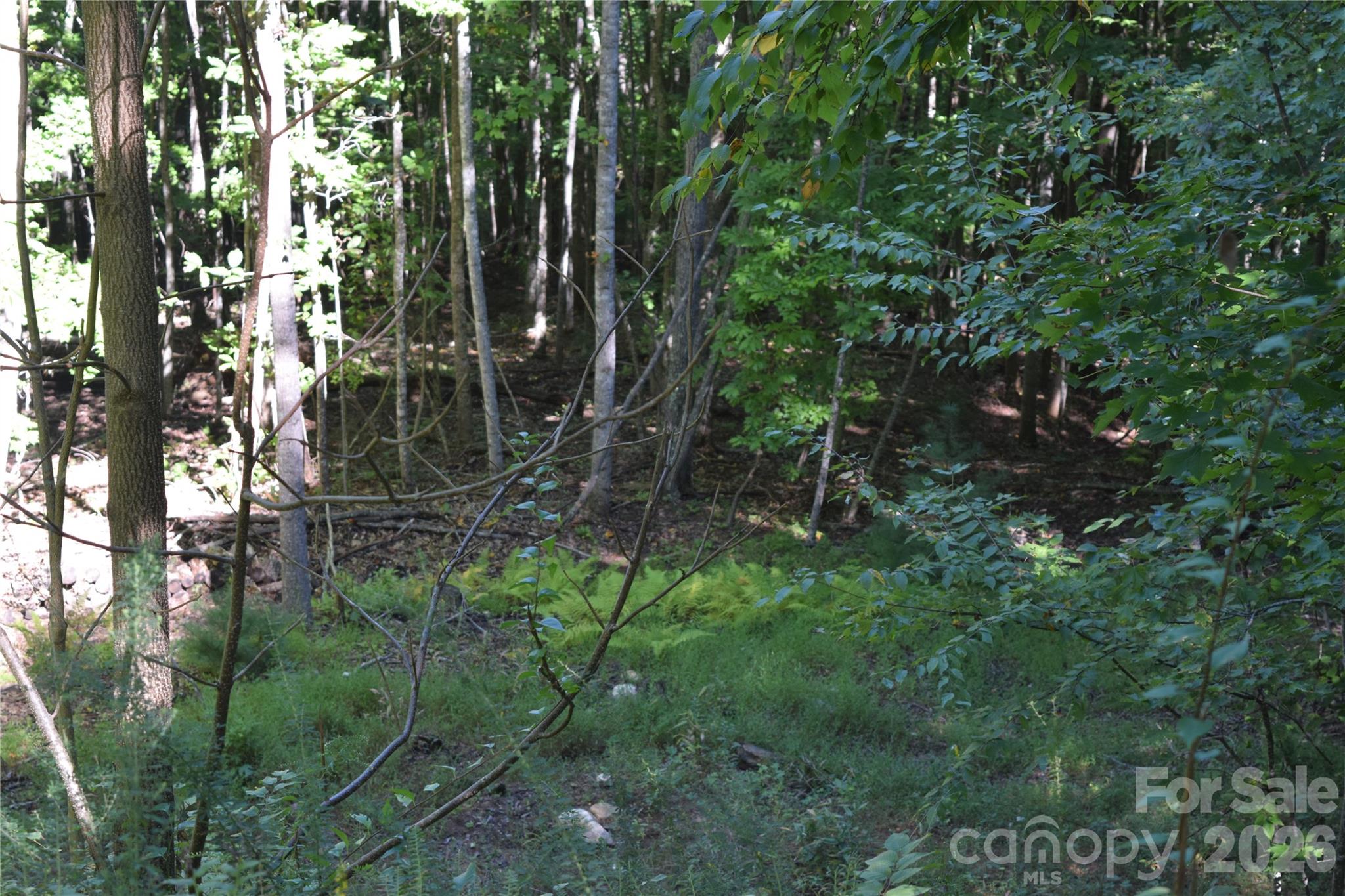 1410 N Double Knob Loop Property Photo 1