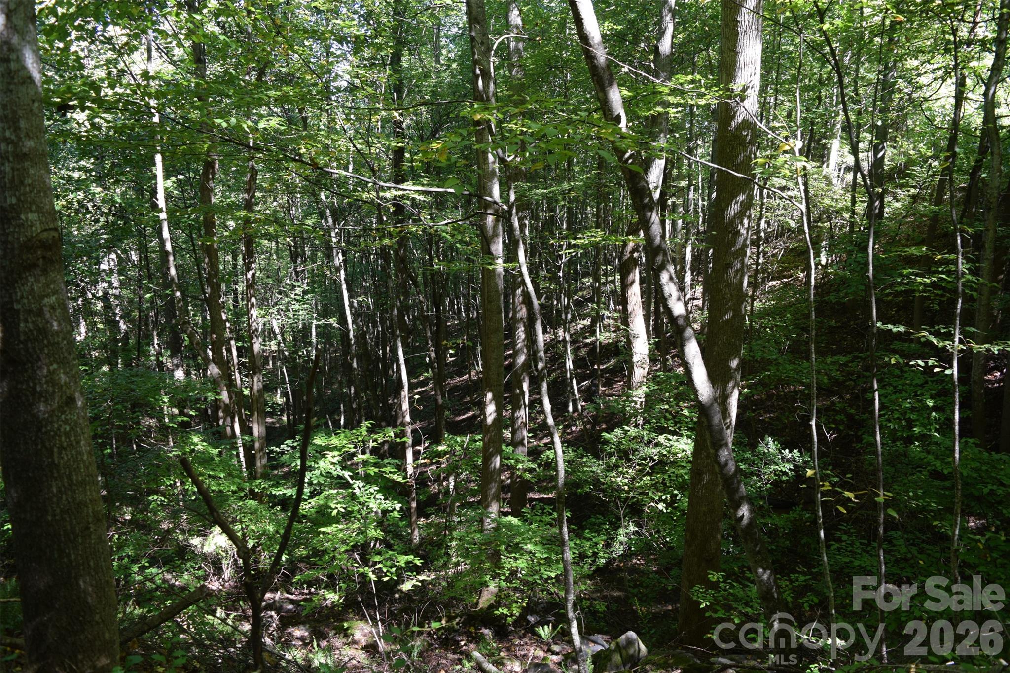1410 N Double Knob Loop Property Photo 5