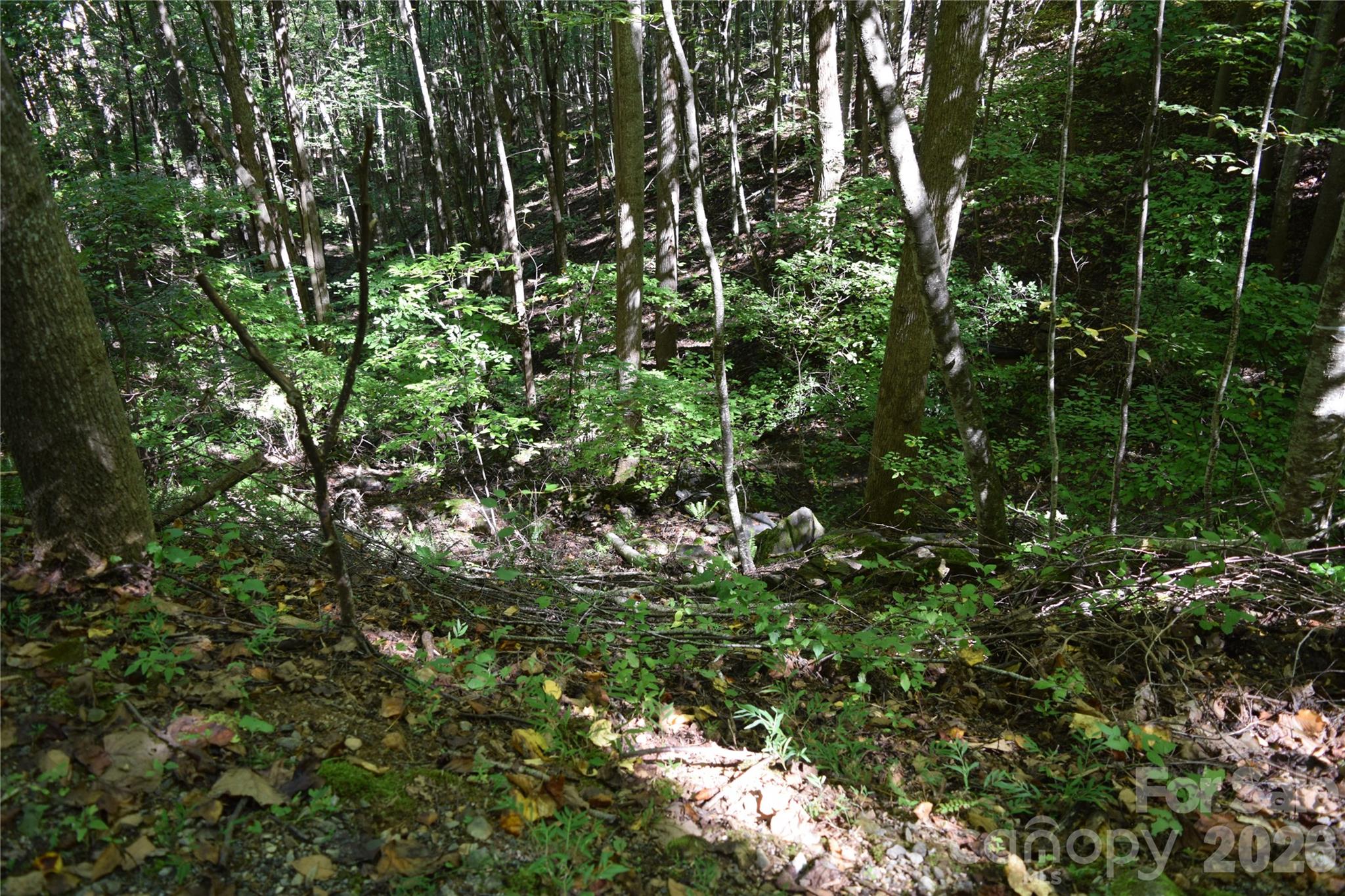 1410 N Double Knob Loop Property Photo 6