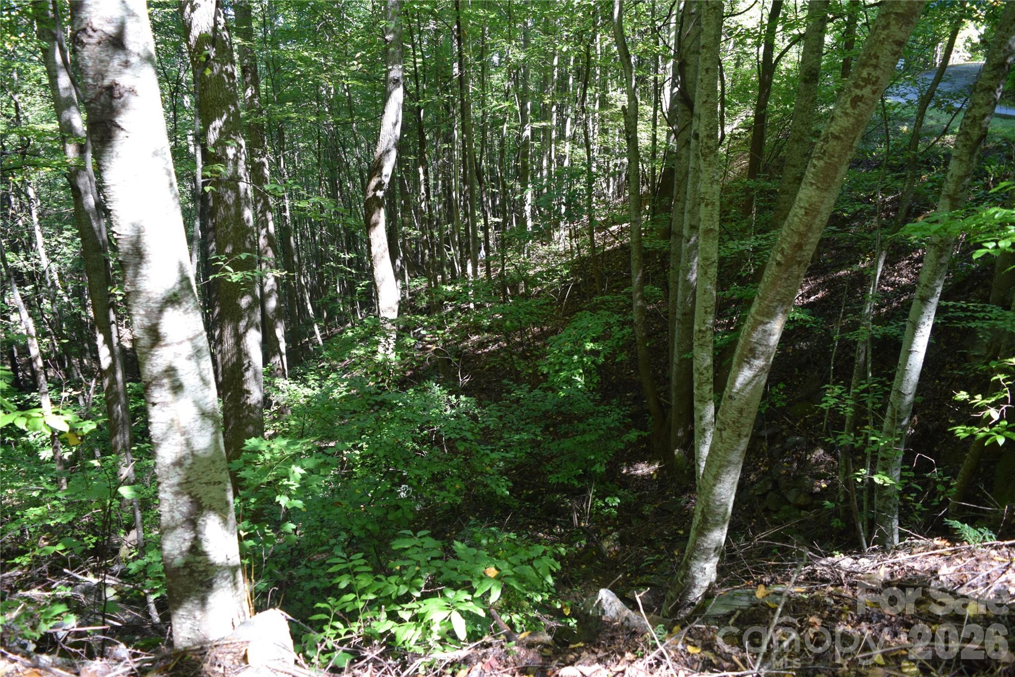 1410 N Double Knob Loop Property Photo 8