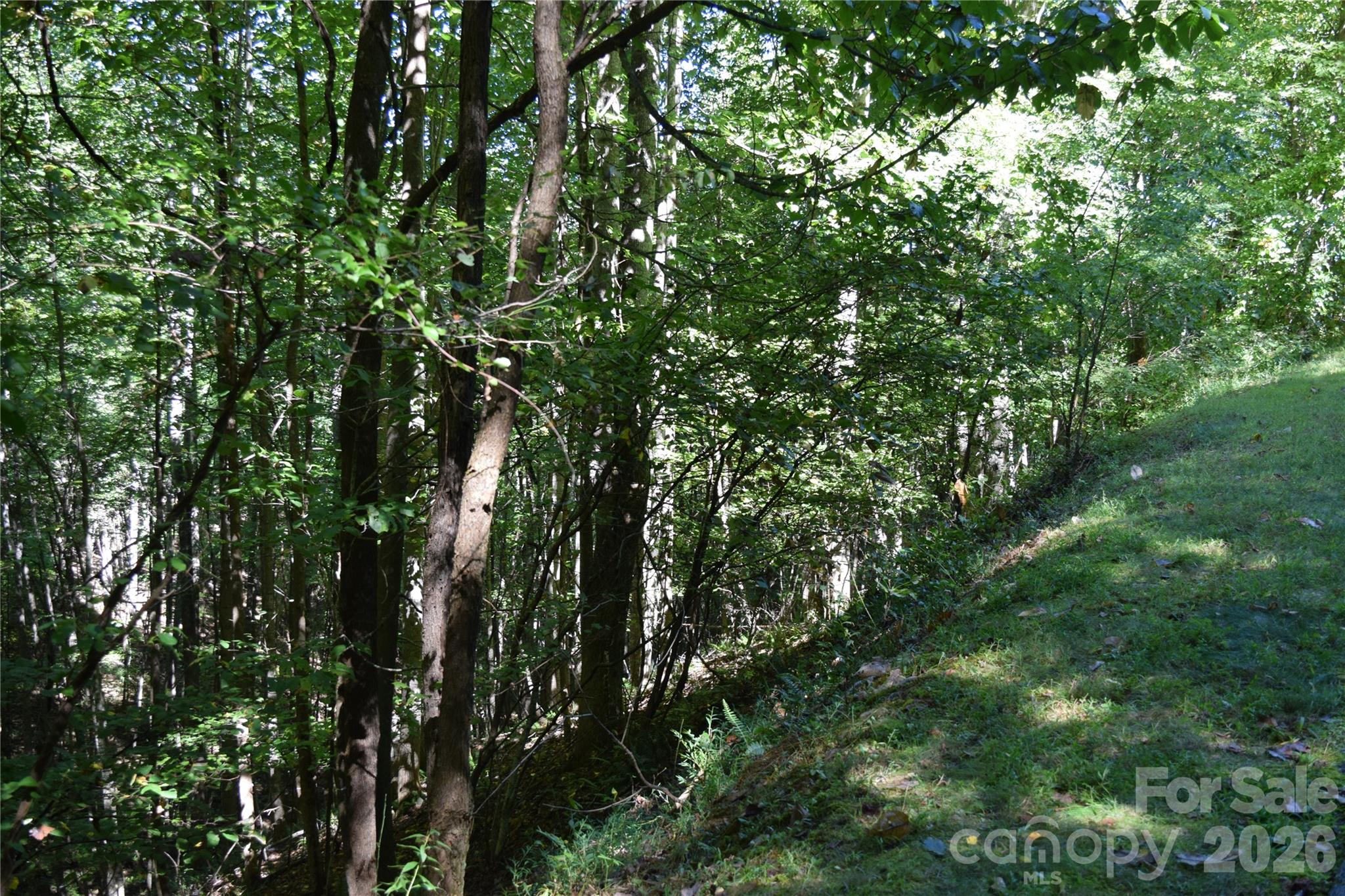 1410 N Double Knob Loop Property Photo 9