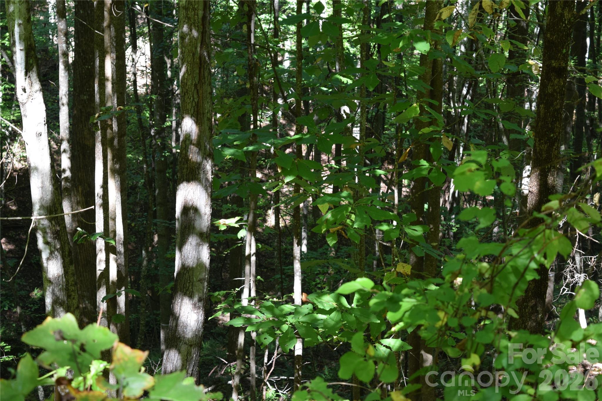 1410 N Double Knob Loop Property Photo 10