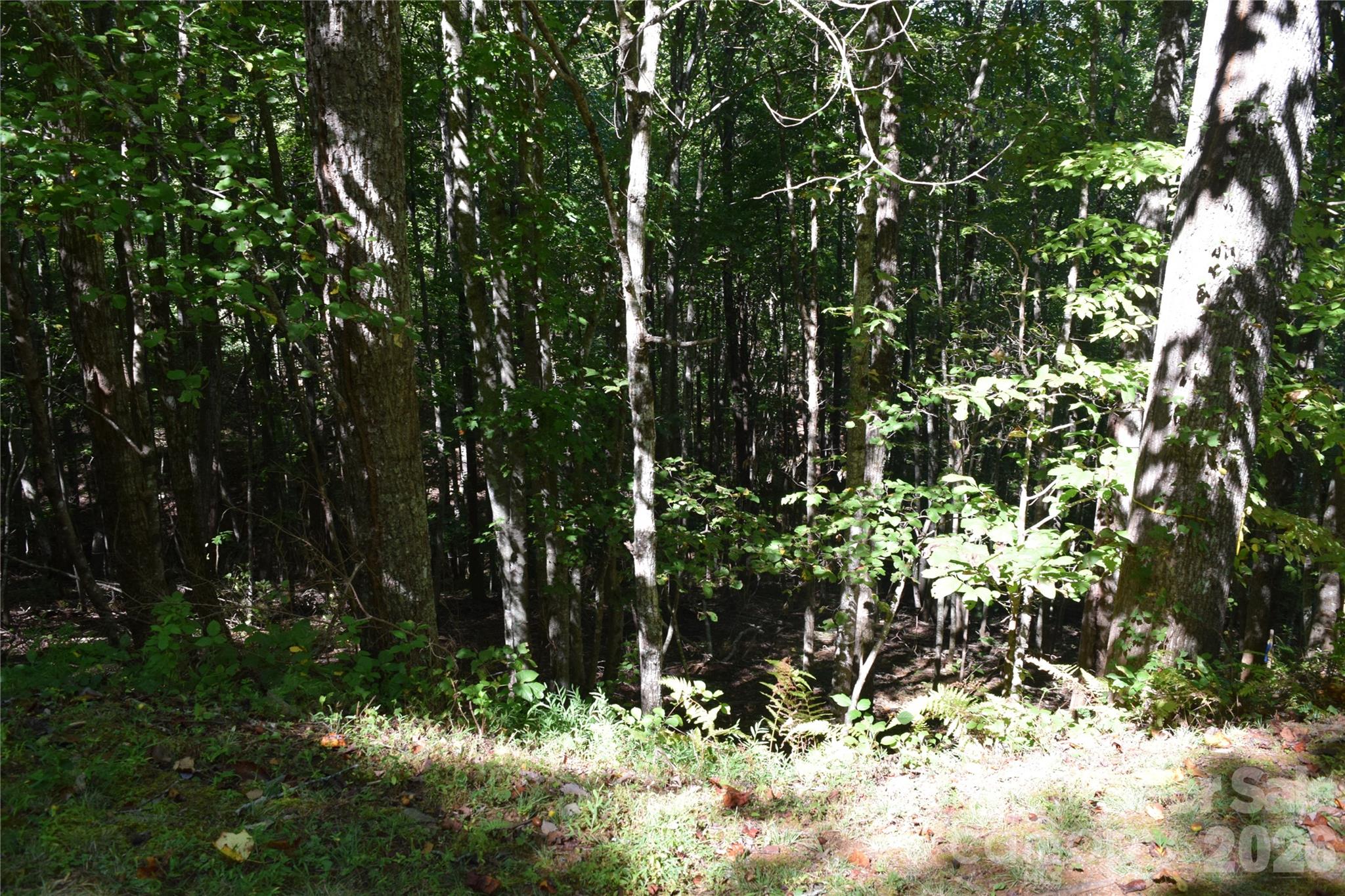 1410 N Double Knob Loop Property Photo 12