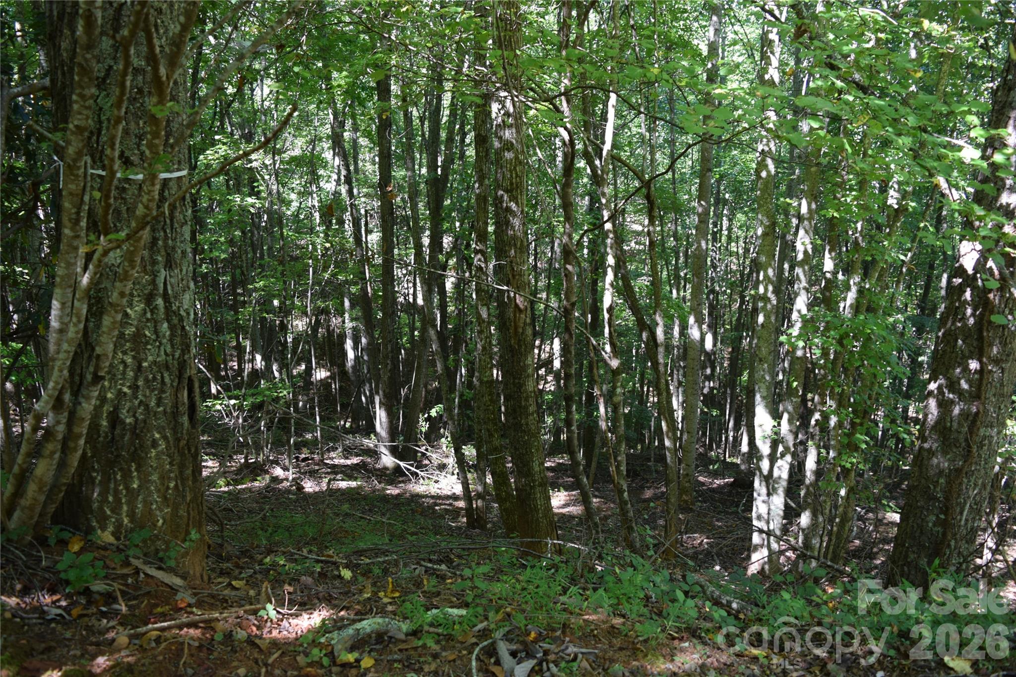 1410 N Double Knob Loop Property Photo 13