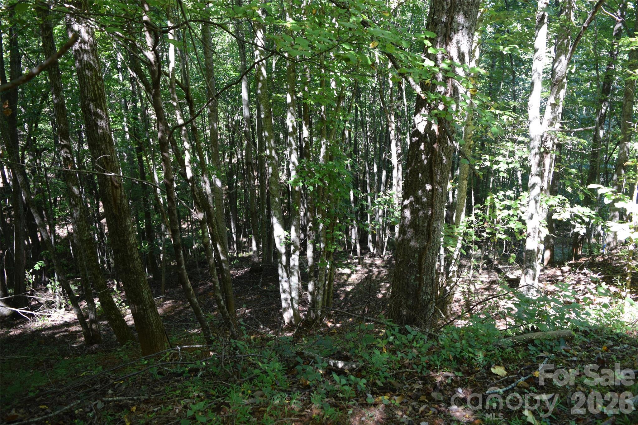 1410 N Double Knob Loop Property Photo 14