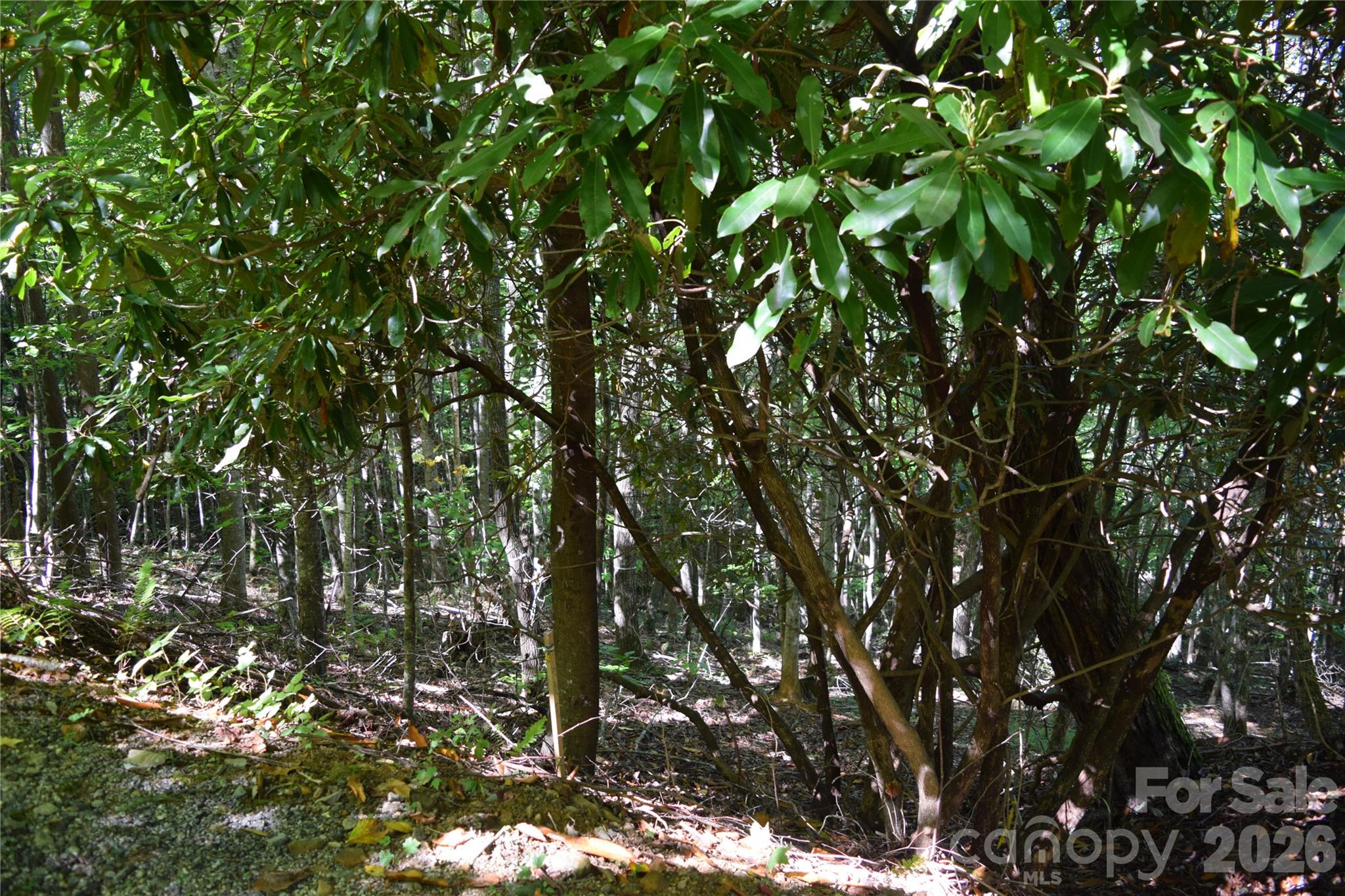 1410 N Double Knob Loop Property Photo 15