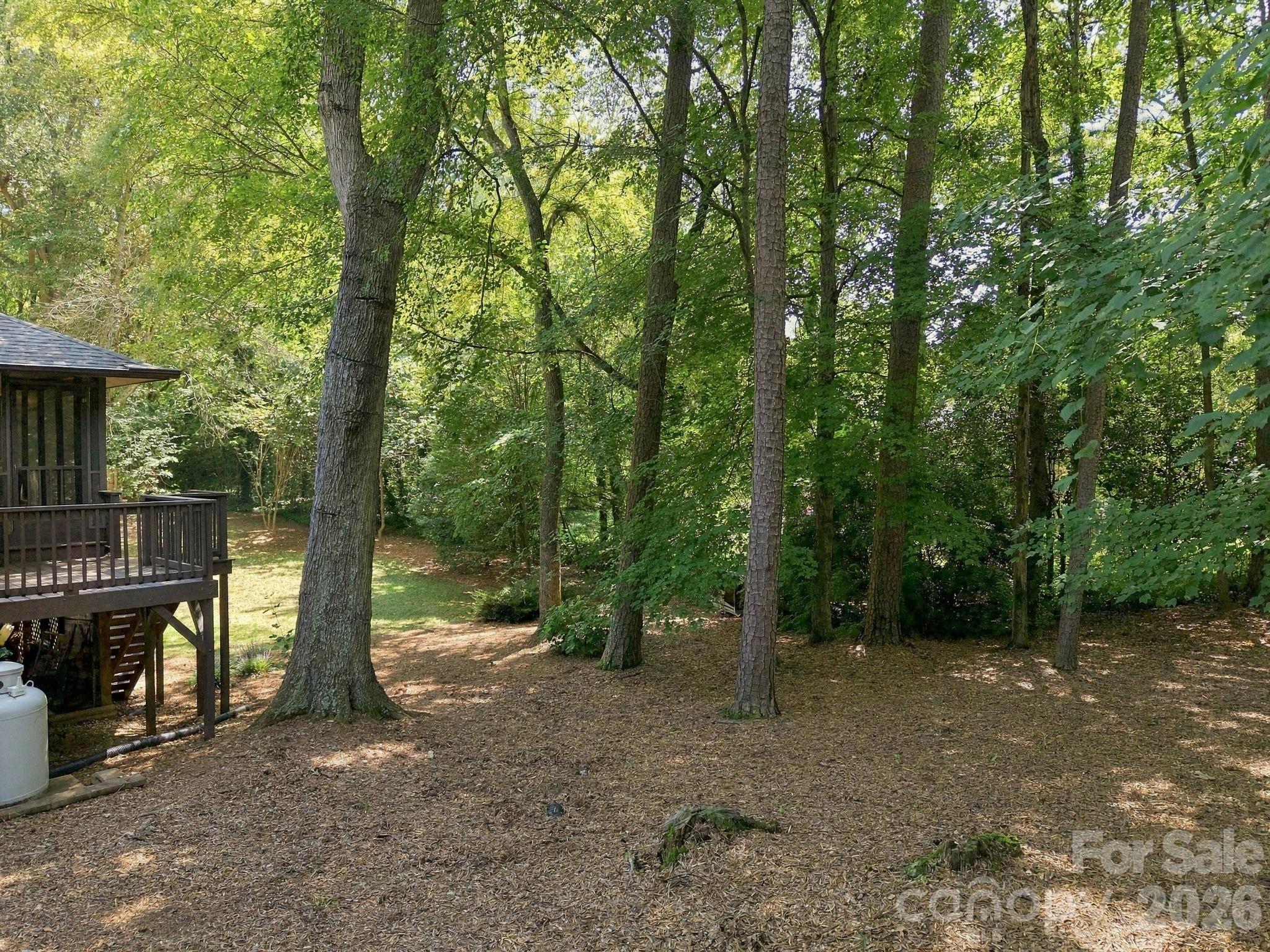 104 Buckingham Place Property Photo 43