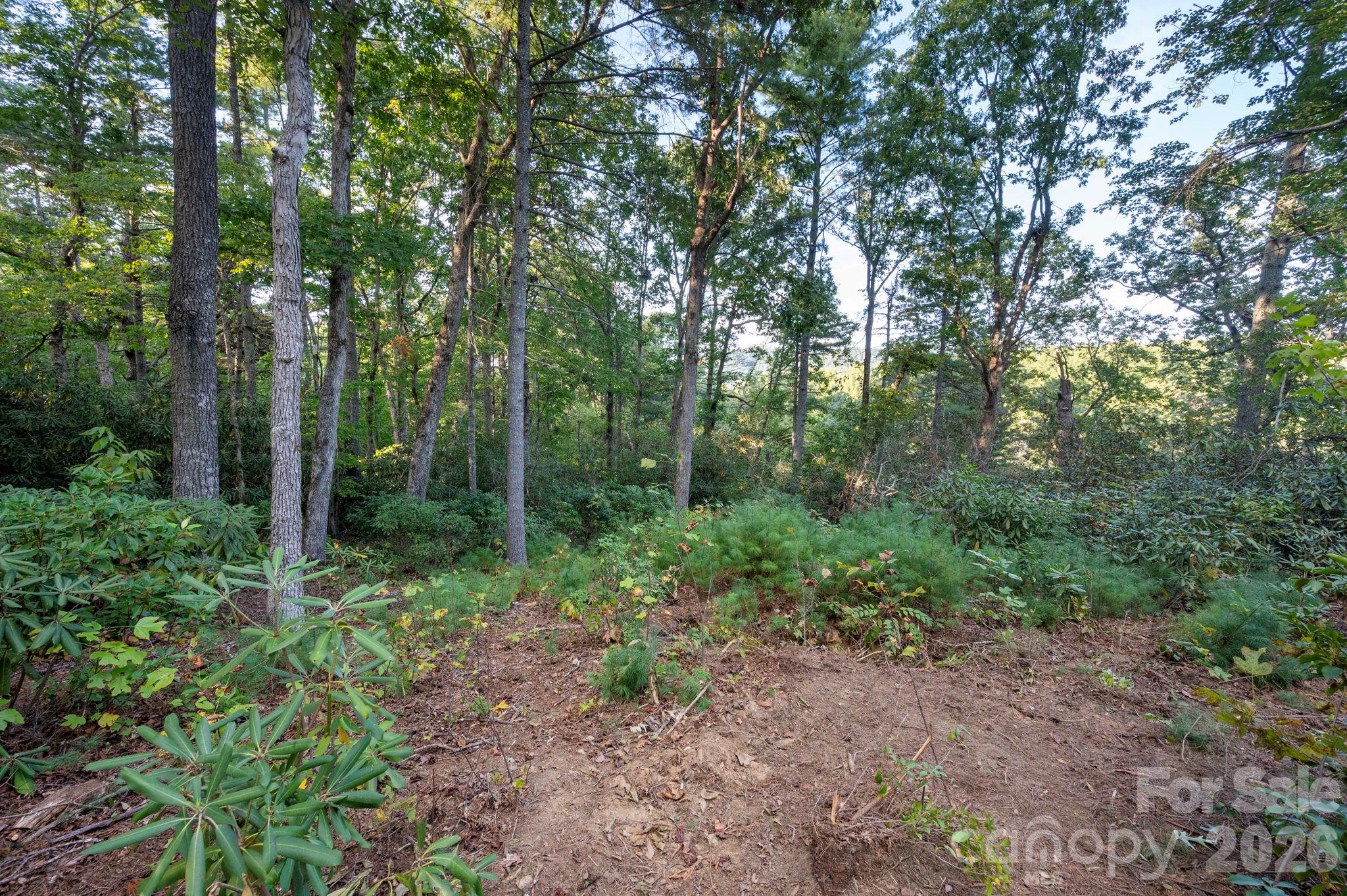30 Hawberry Court Property Photo 10