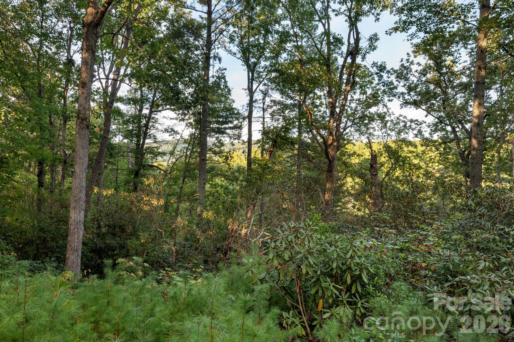 30 Hawberry Court Property Photo 11