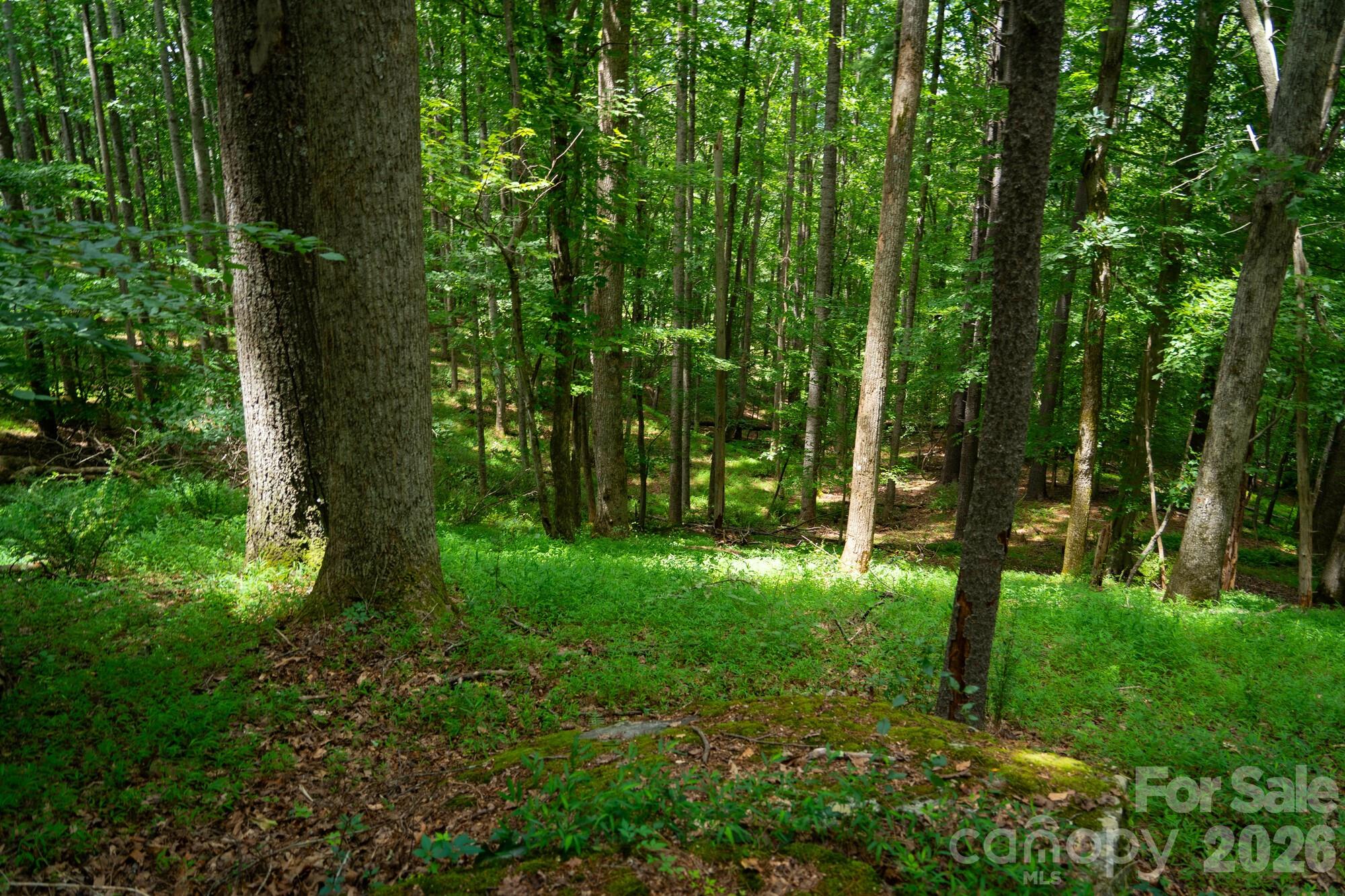 185 Mckinney Road Property Photo 21