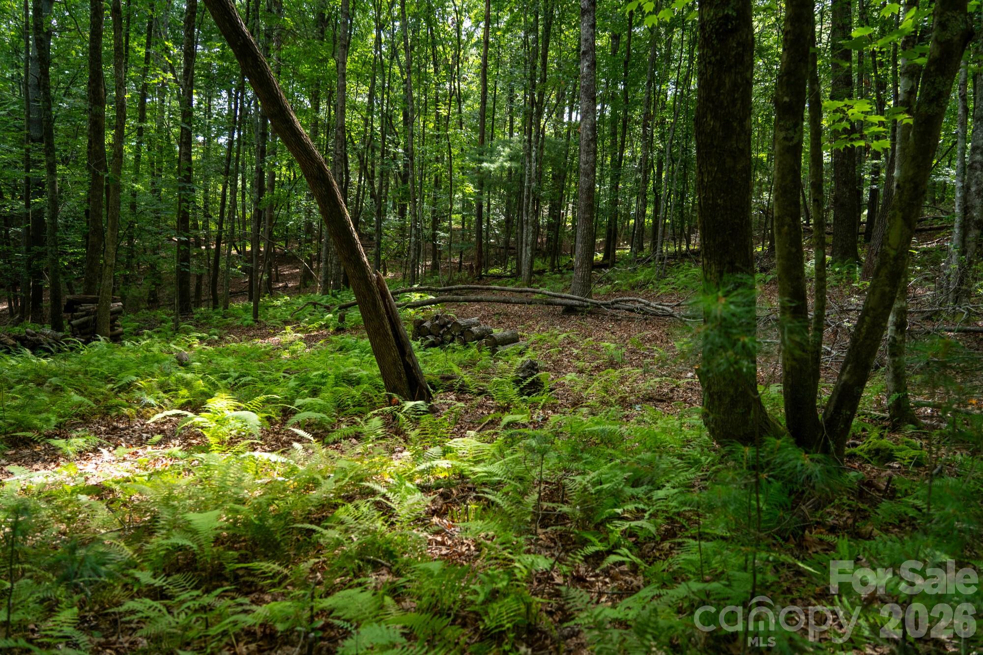 185 Mckinney Road Property Photo 24