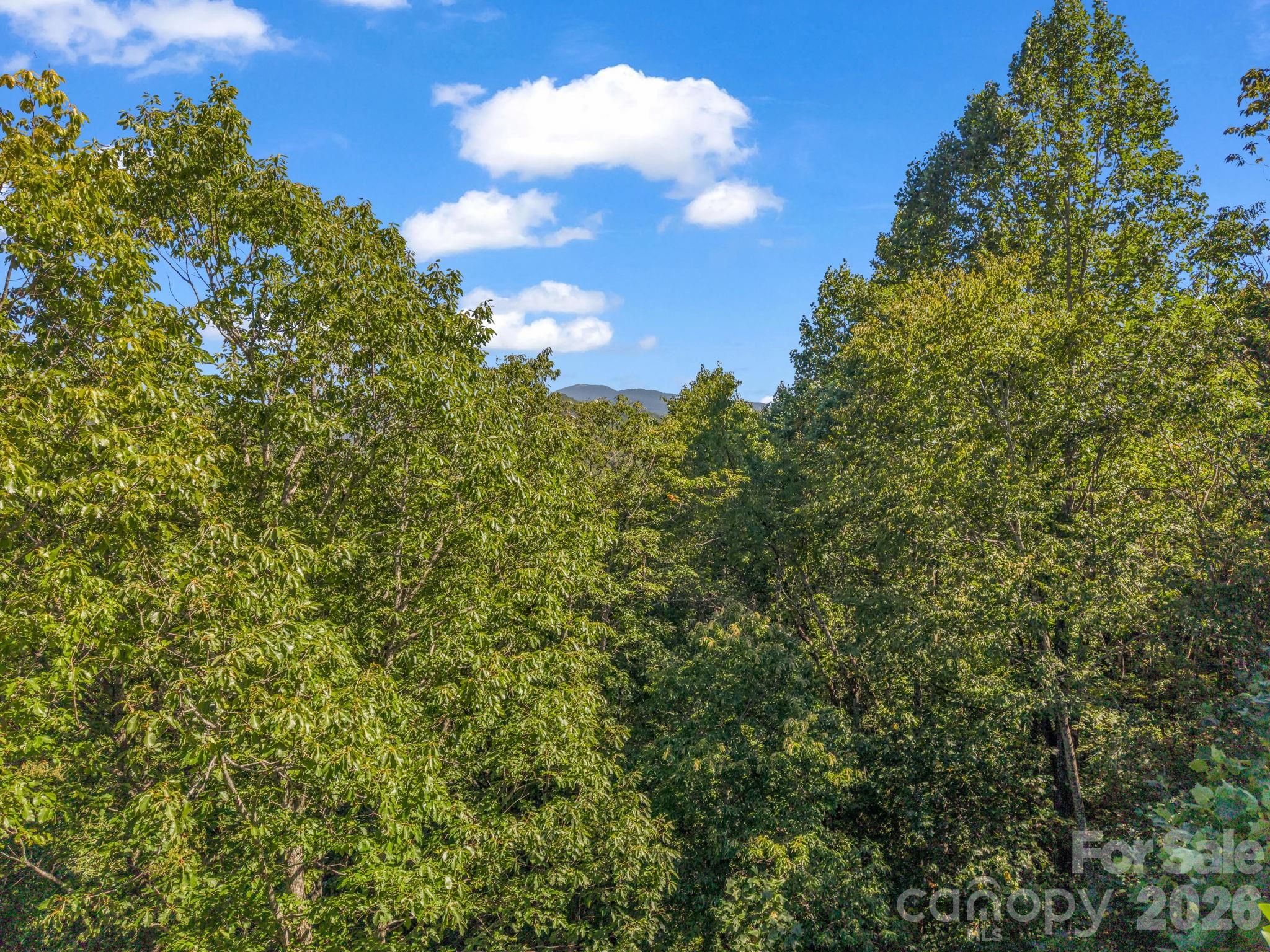 504 Barrington Drive Property Photo 20
