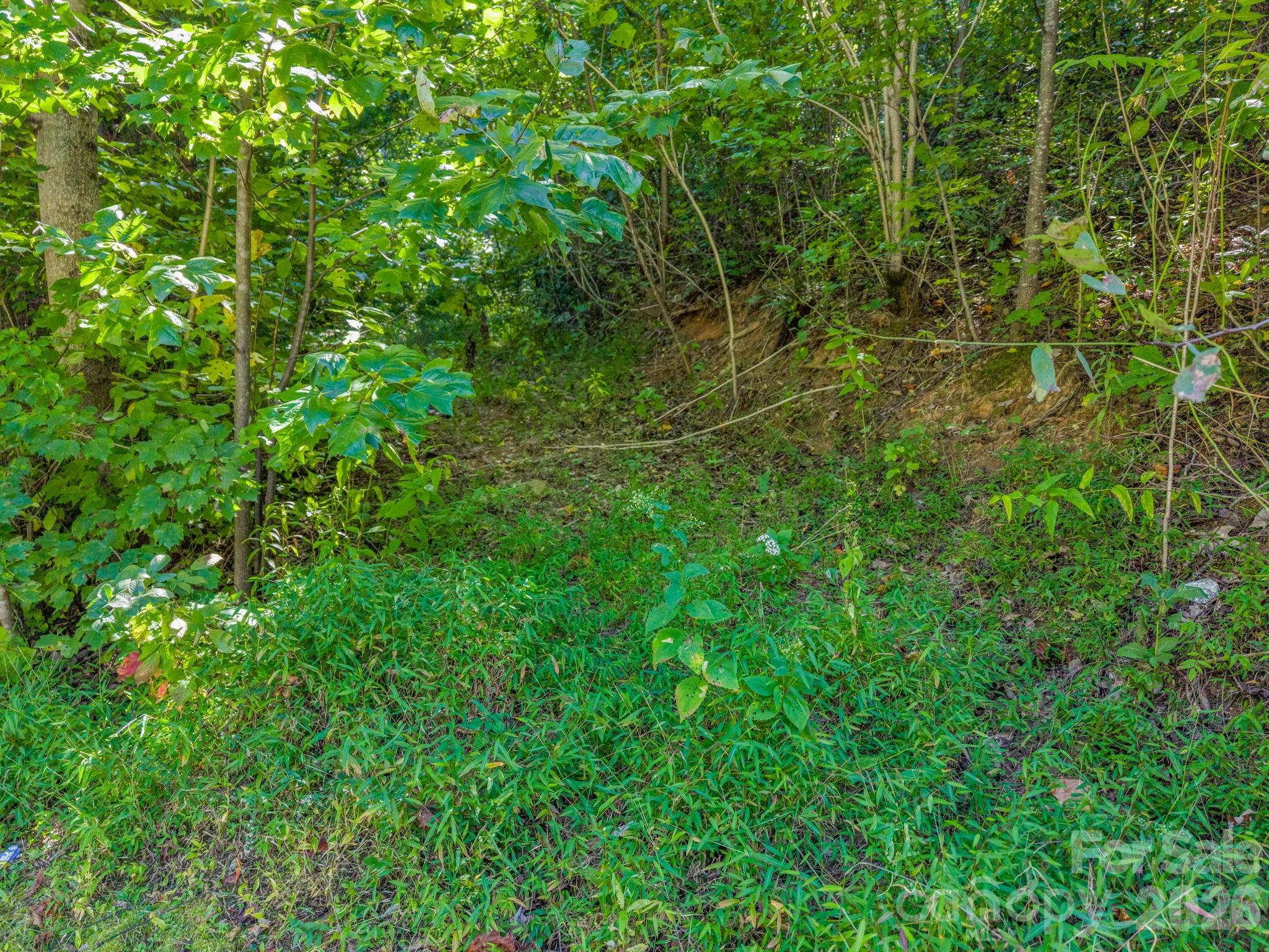 504 Barrington Drive Property Photo 24