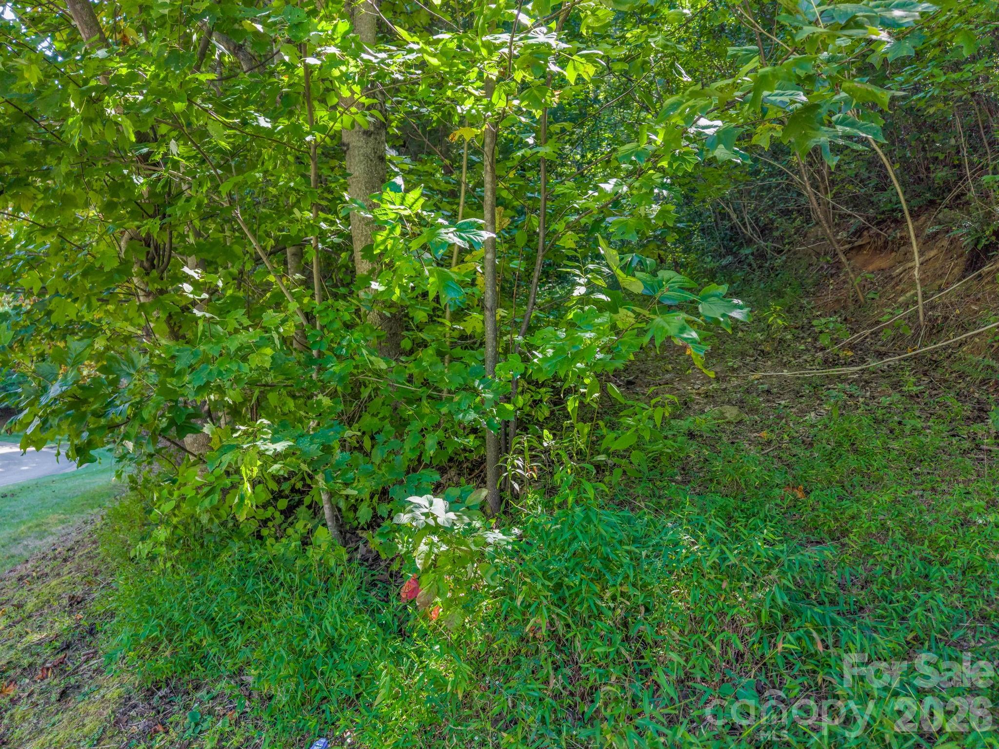504 Barrington Drive Property Photo 25