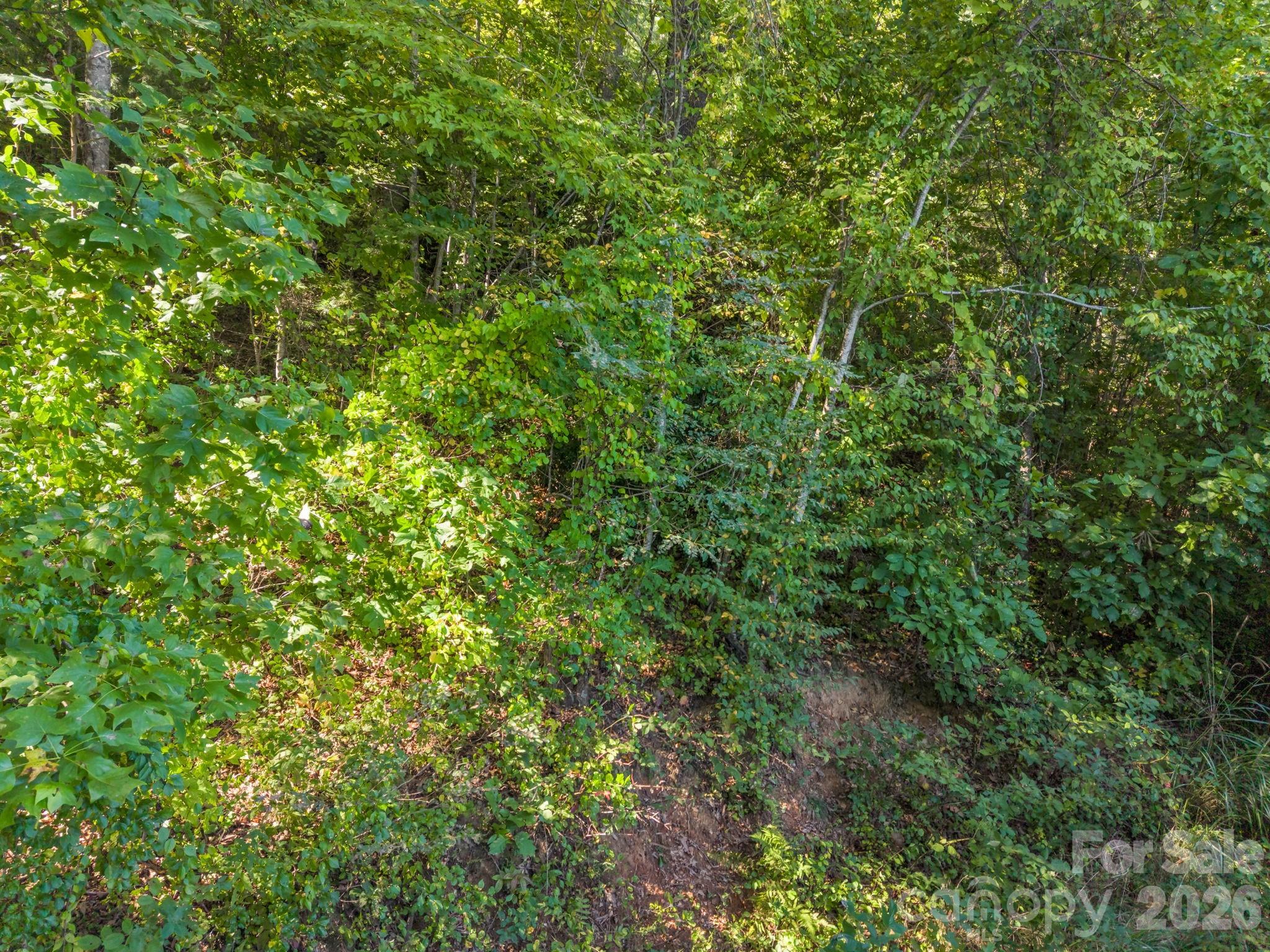 504 Barrington Drive Property Photo 28