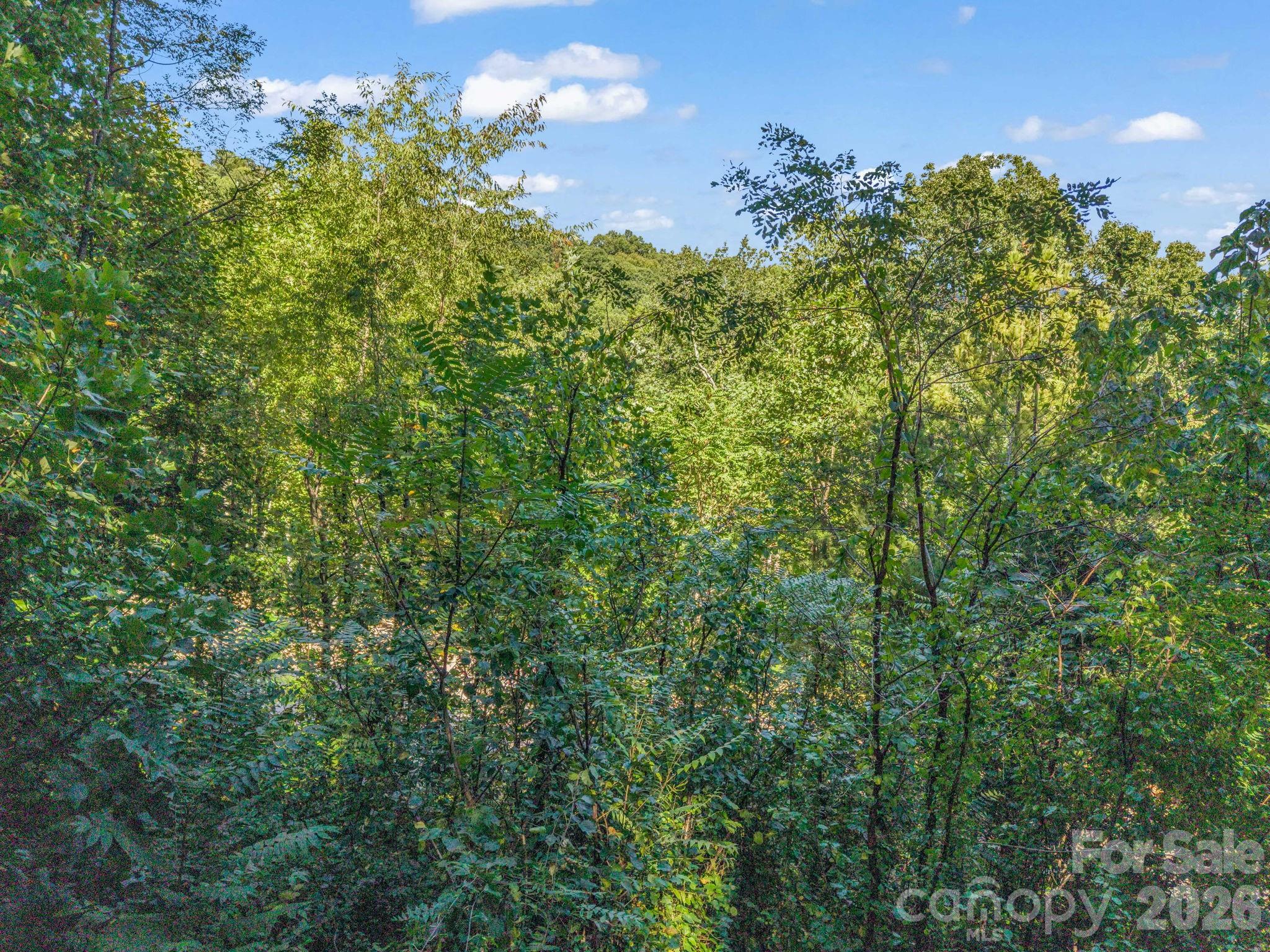 504 Barrington Drive Property Photo 29