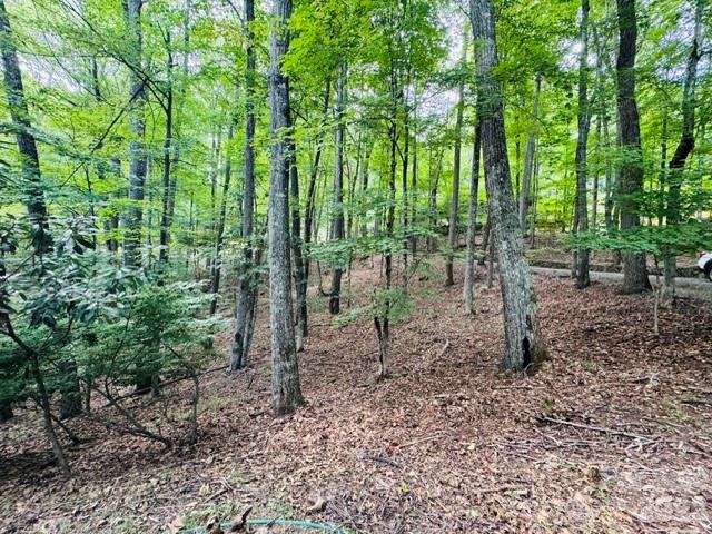 624 Fox Den Road Property Photo 3