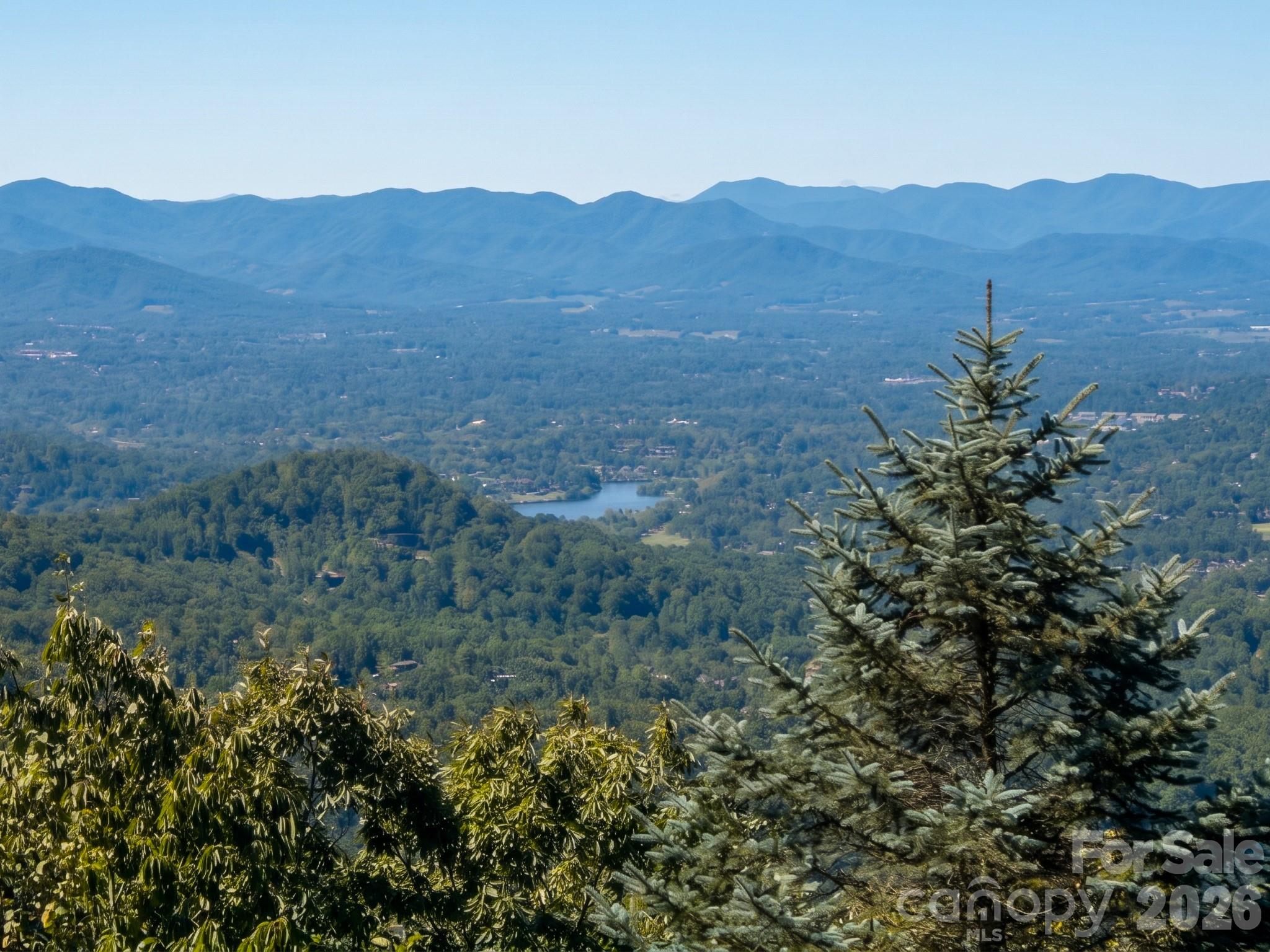 28 Peach Knob Drive Property Photo 22