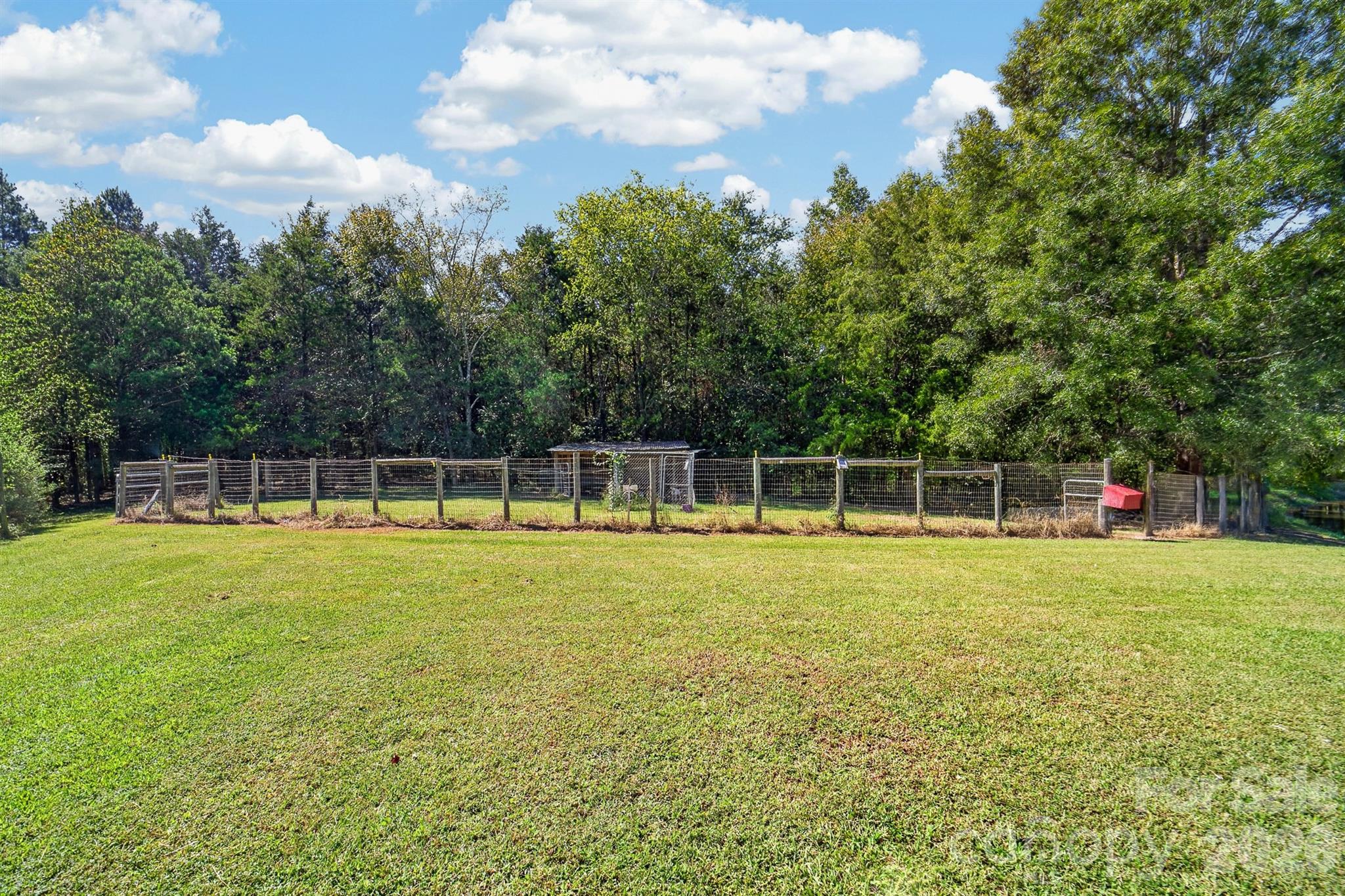 9702 Quail Cove Court Property Photo 38