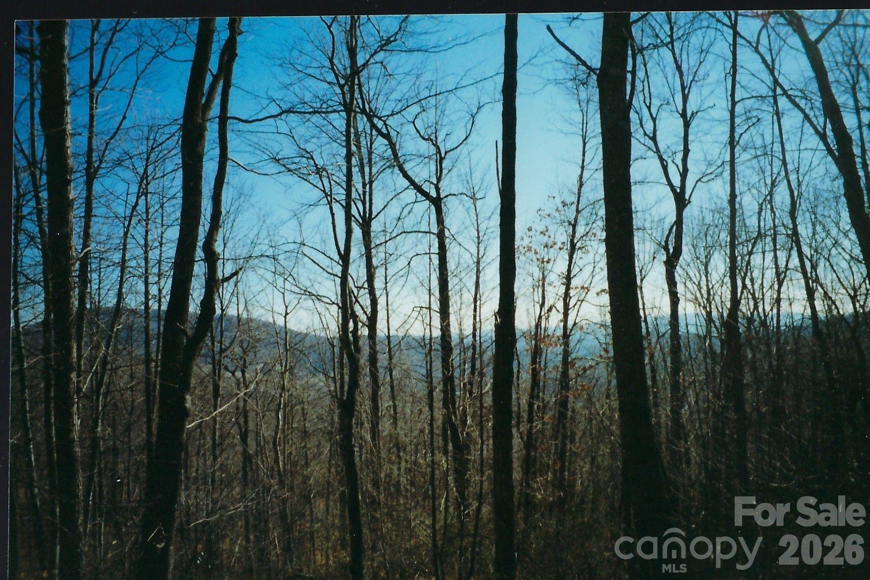 Lot #35 Damselfly Court Property Photo 1